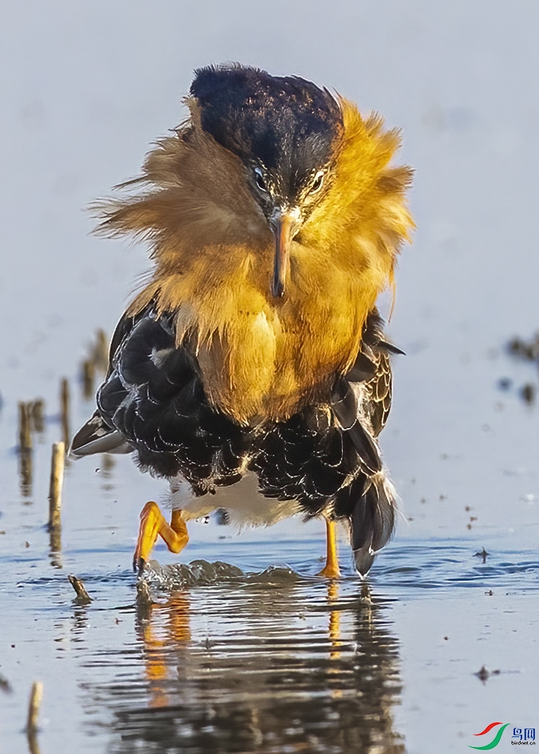 DSC_9200 ����-2.jpg