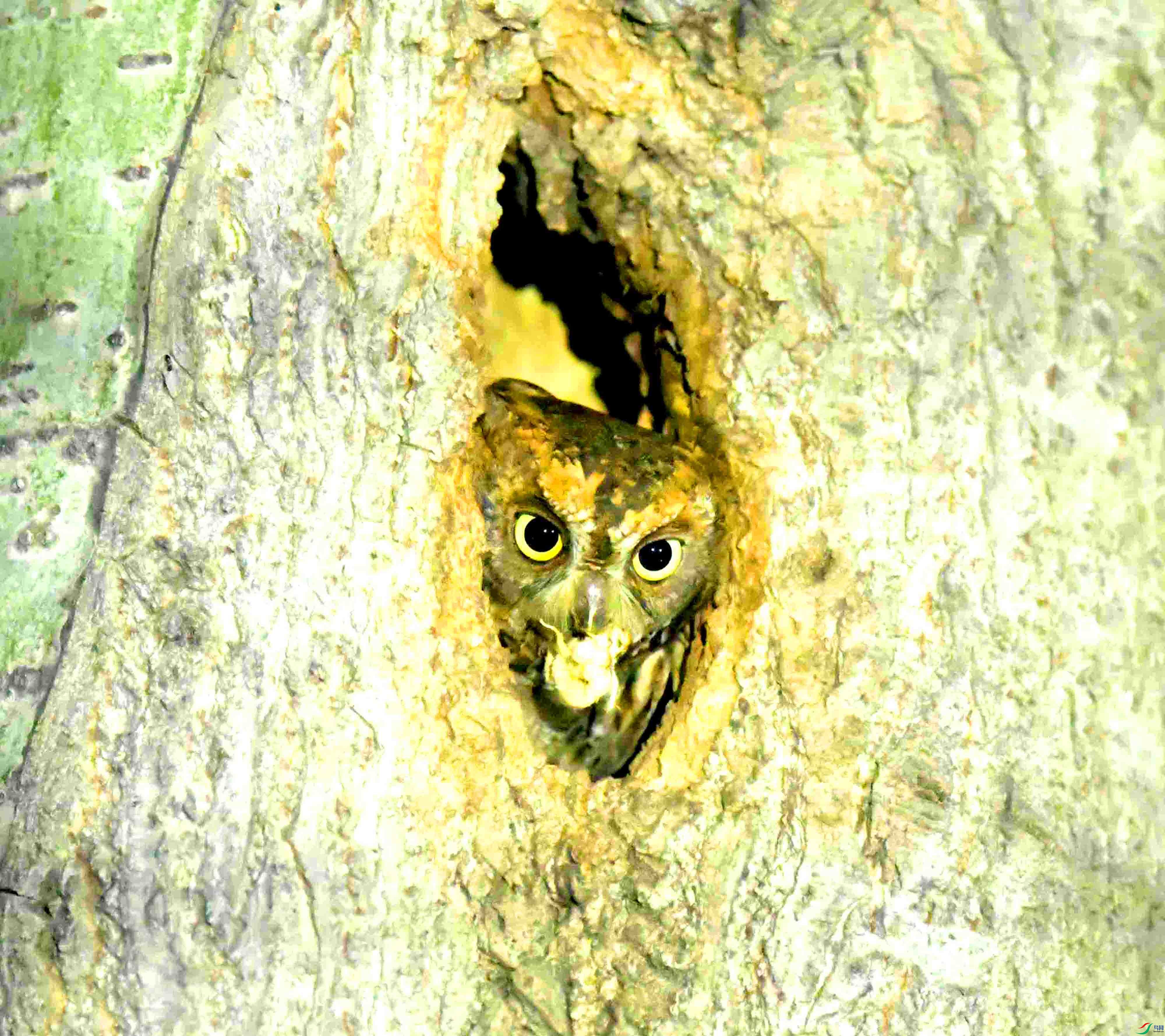 DSC_1077.JPG