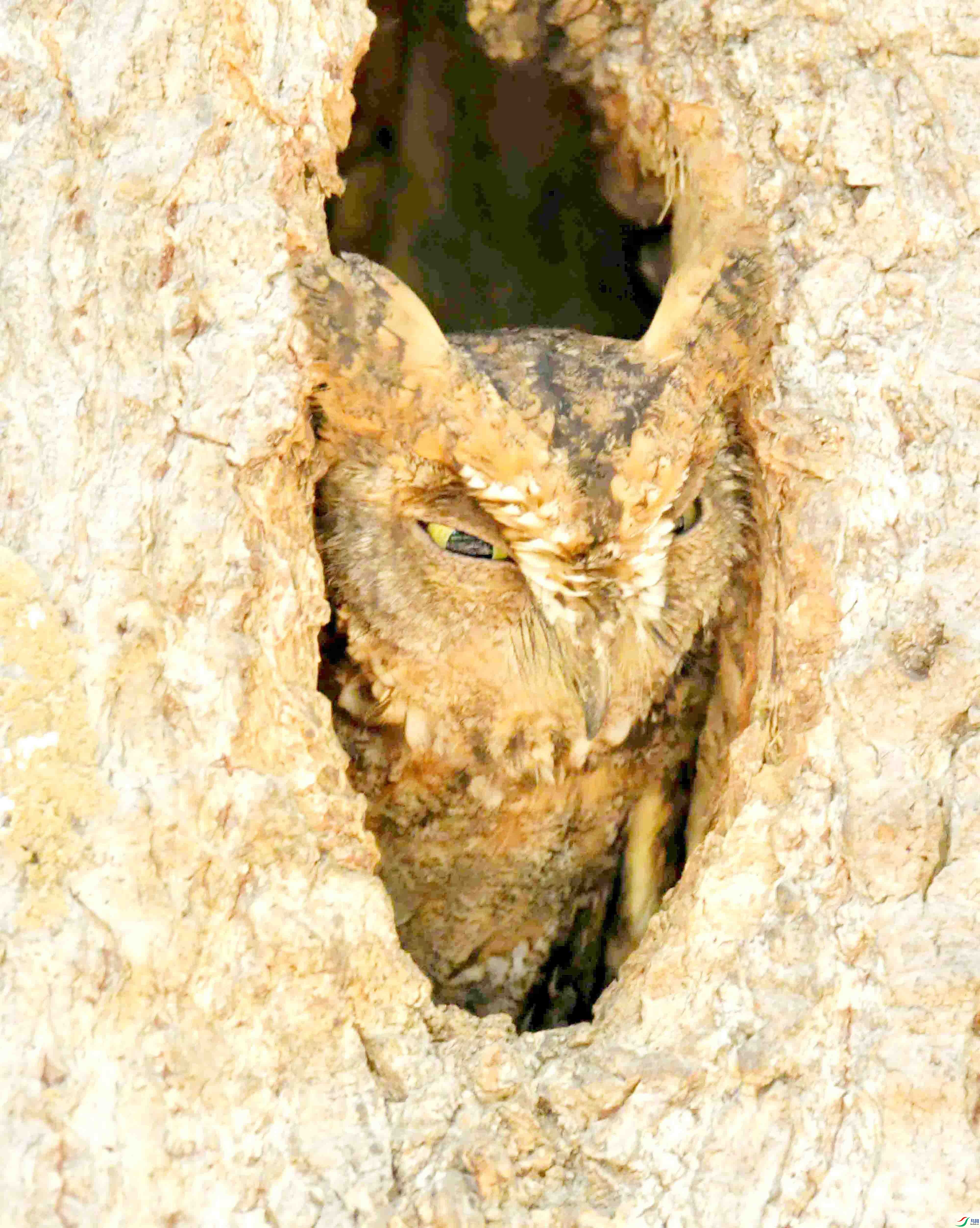 DSC_8289.JPG