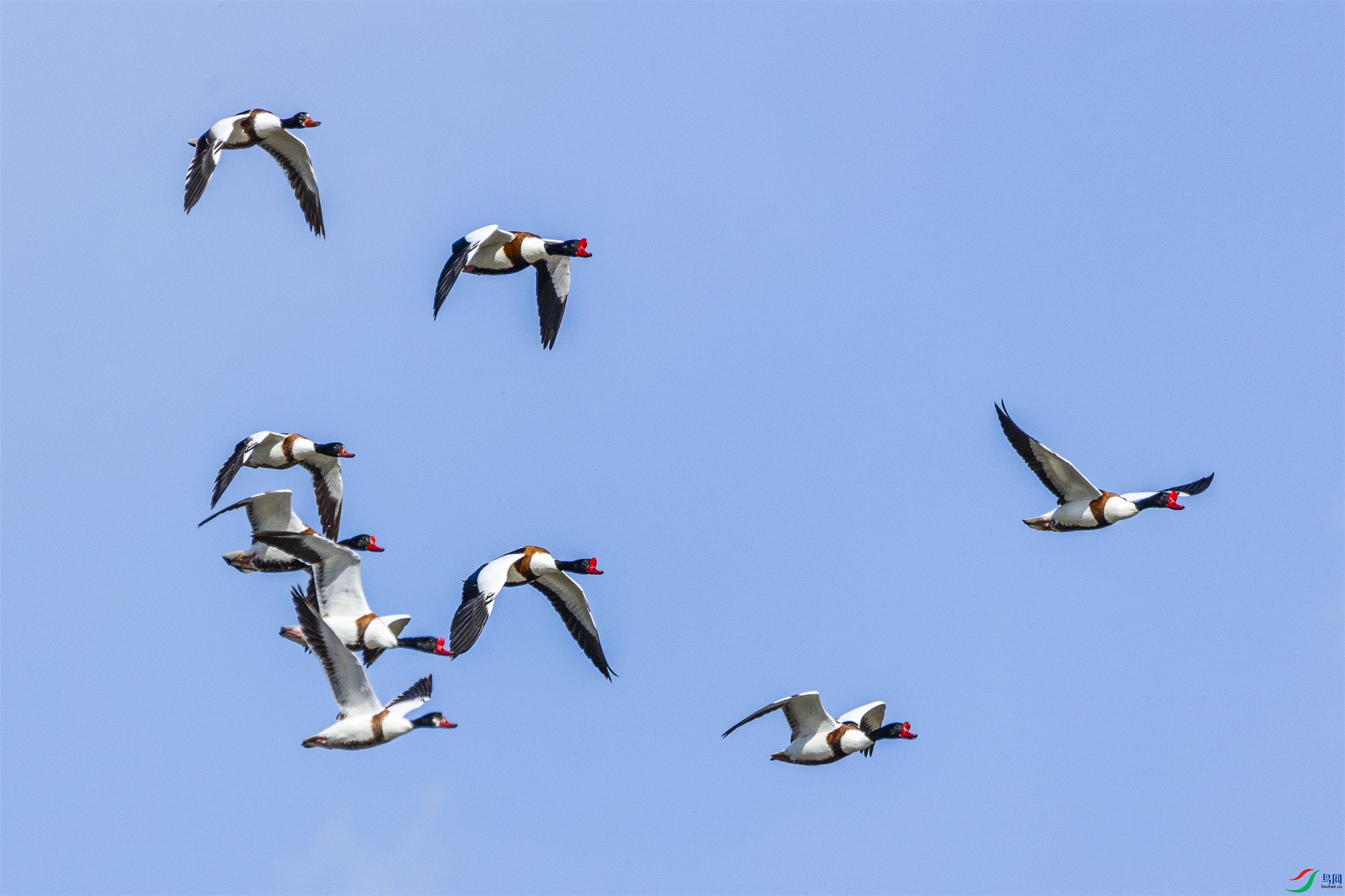 1K3A8315 ����1.jpg