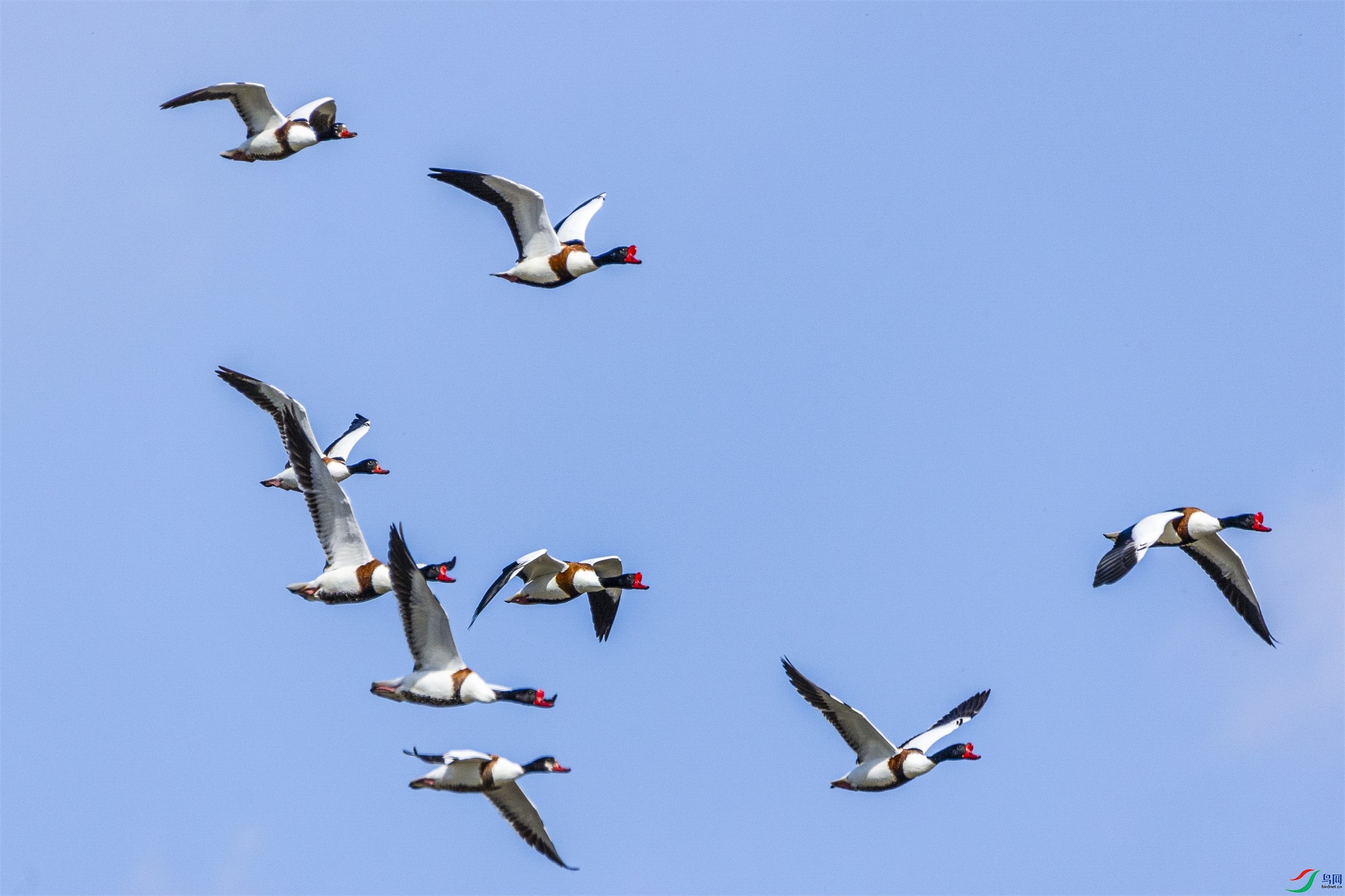 1K3A8316 ����1.jpg