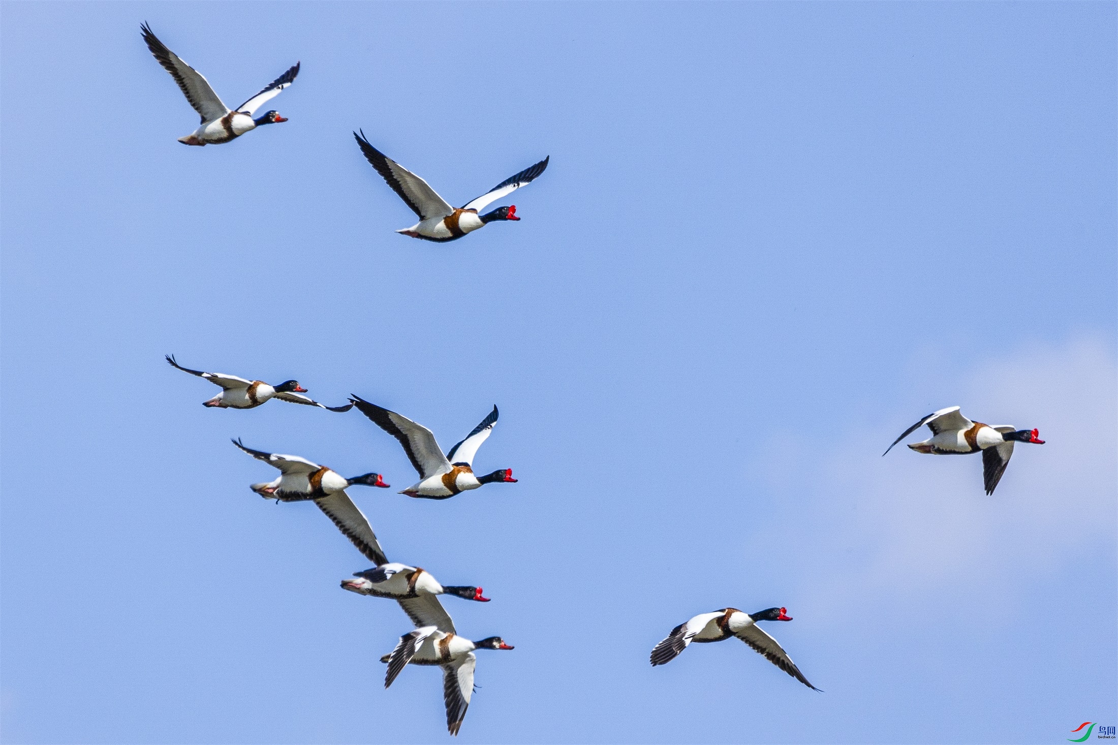 1K3A8317 ����1.jpg