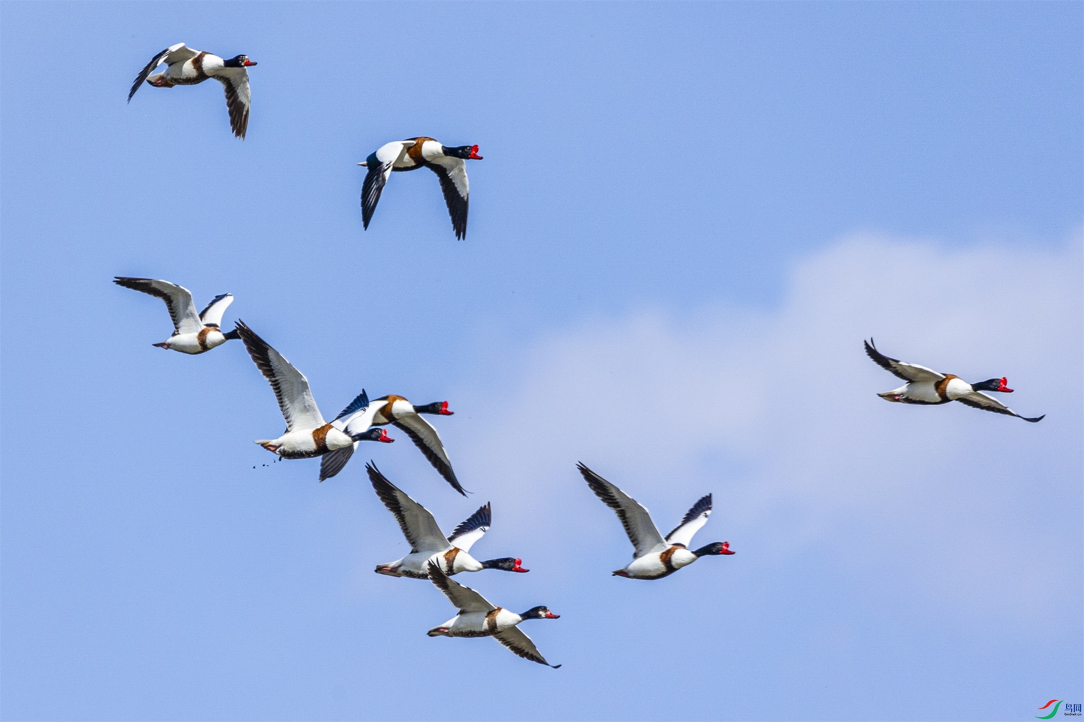 1K3A8319 ����1.jpg