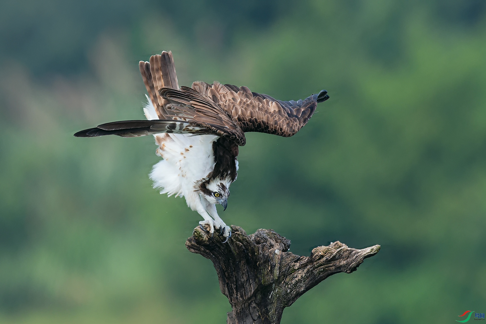 2DSC_1985_DxOa.jpg