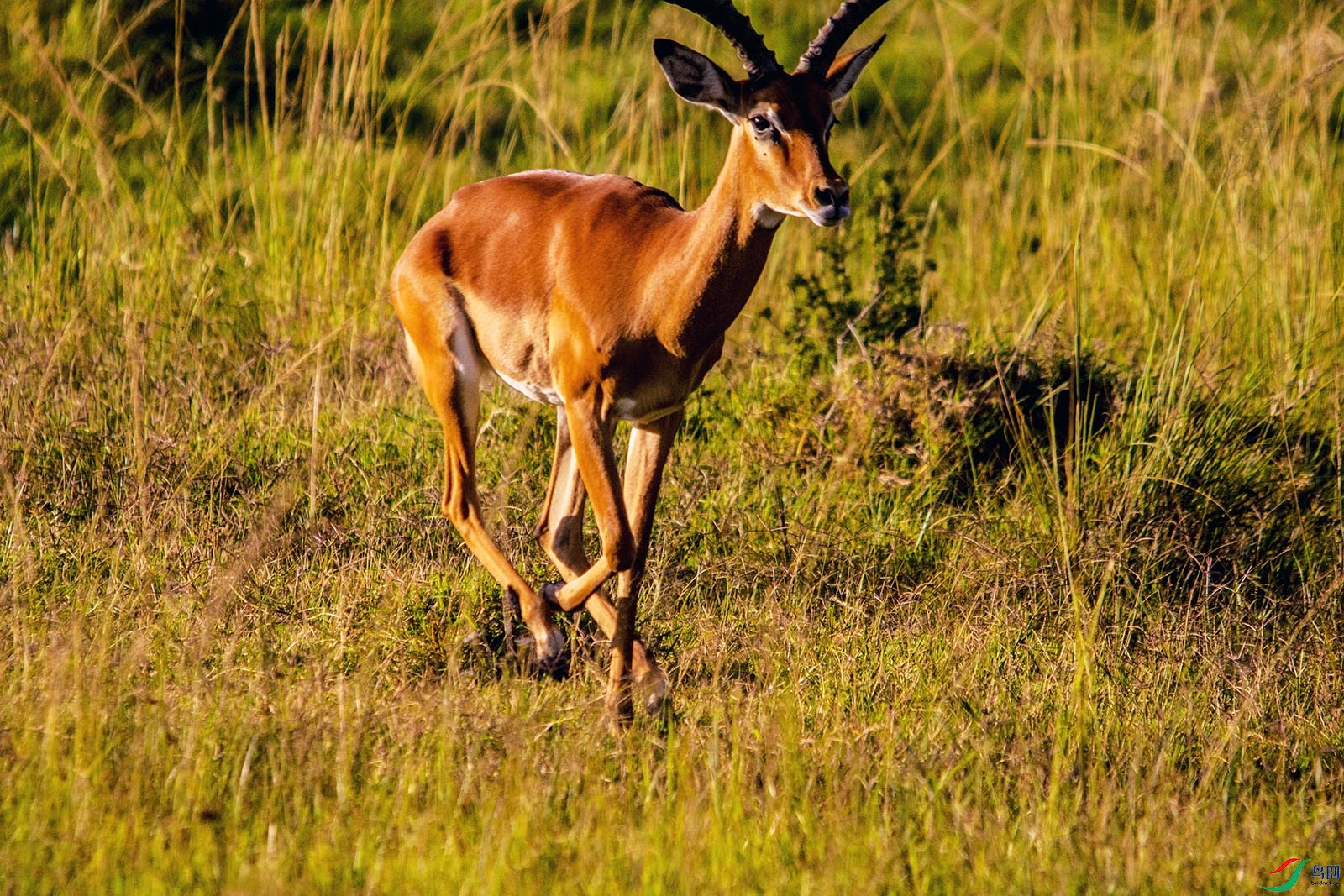 DSC_4299.jpg