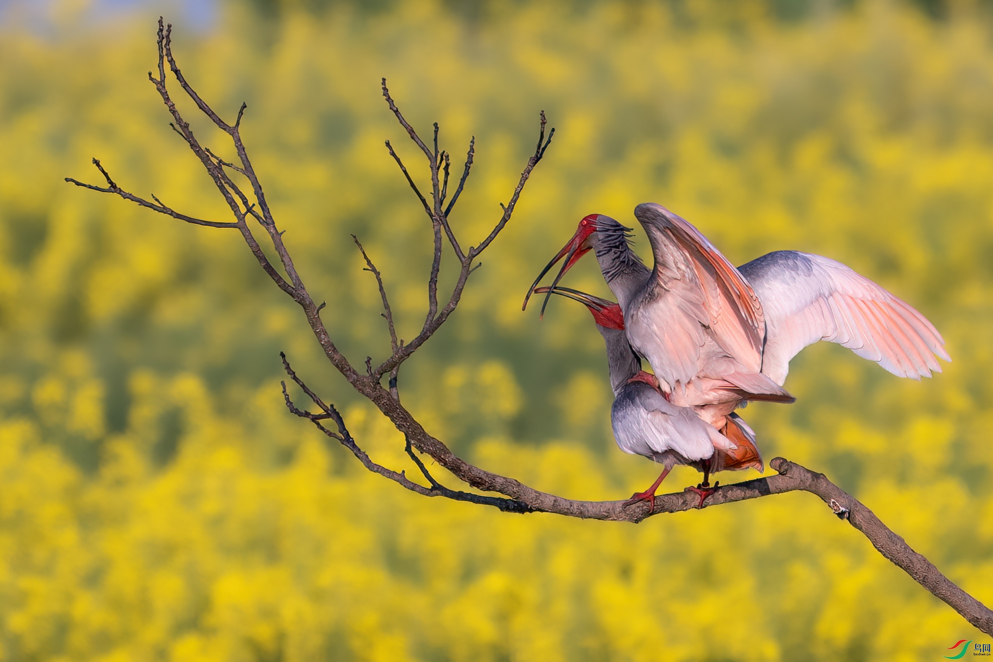 DSK_7622 -x����.jpg