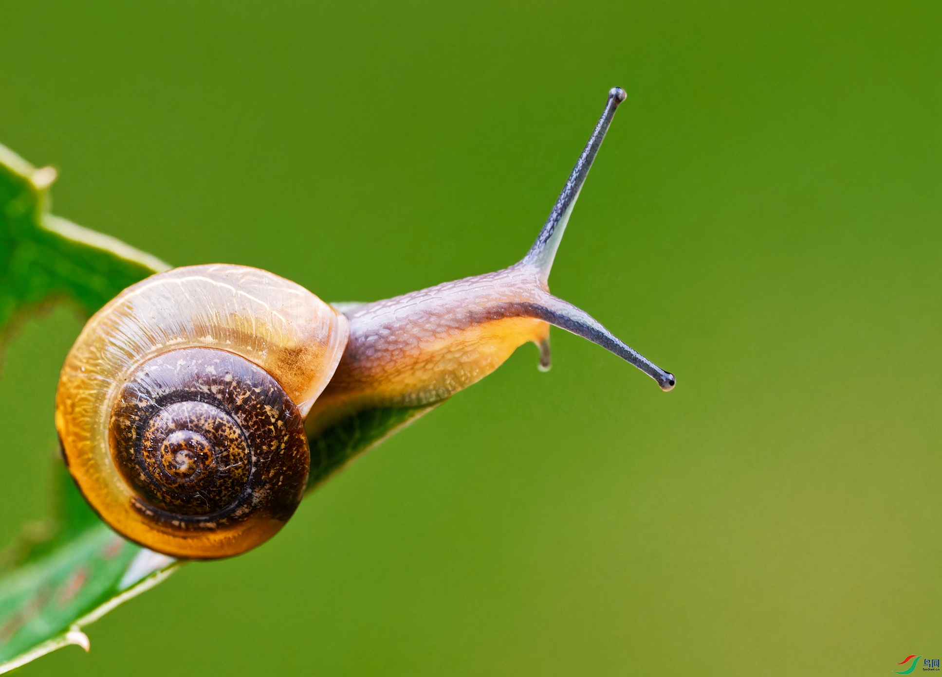 P5113194_DxO_����.jpg