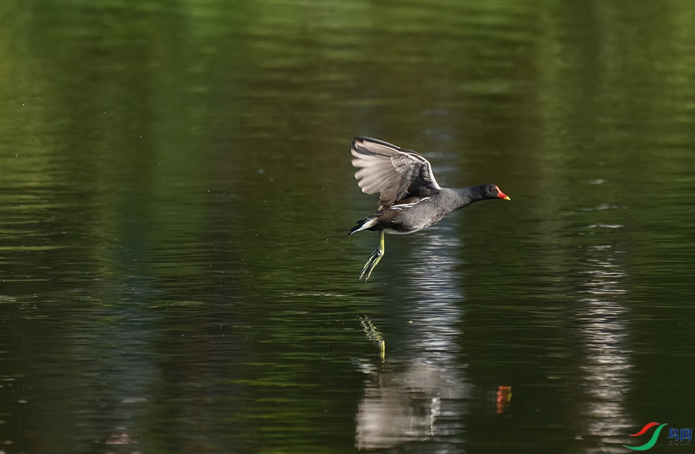 DSC_0858.jpg