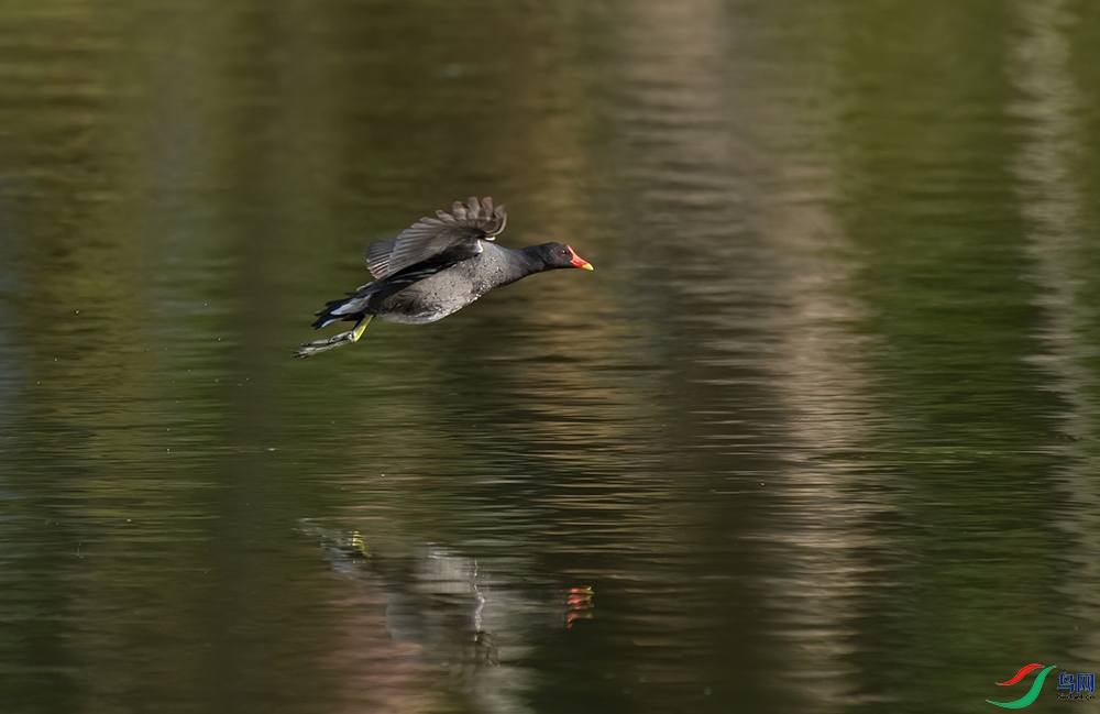 DSC_0862.jpg