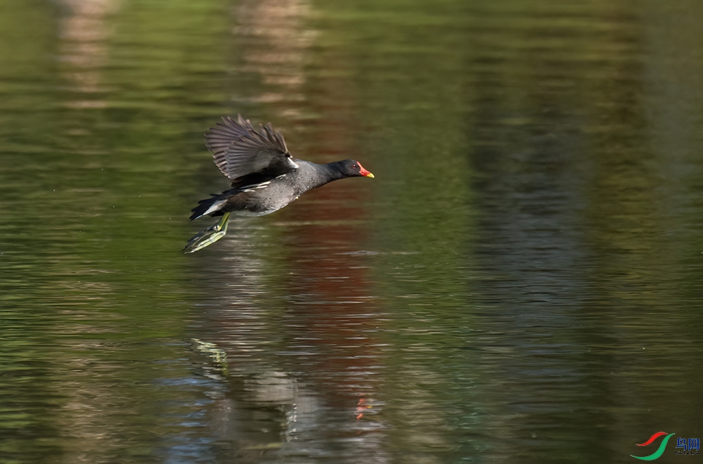 DSC_0861.jpg