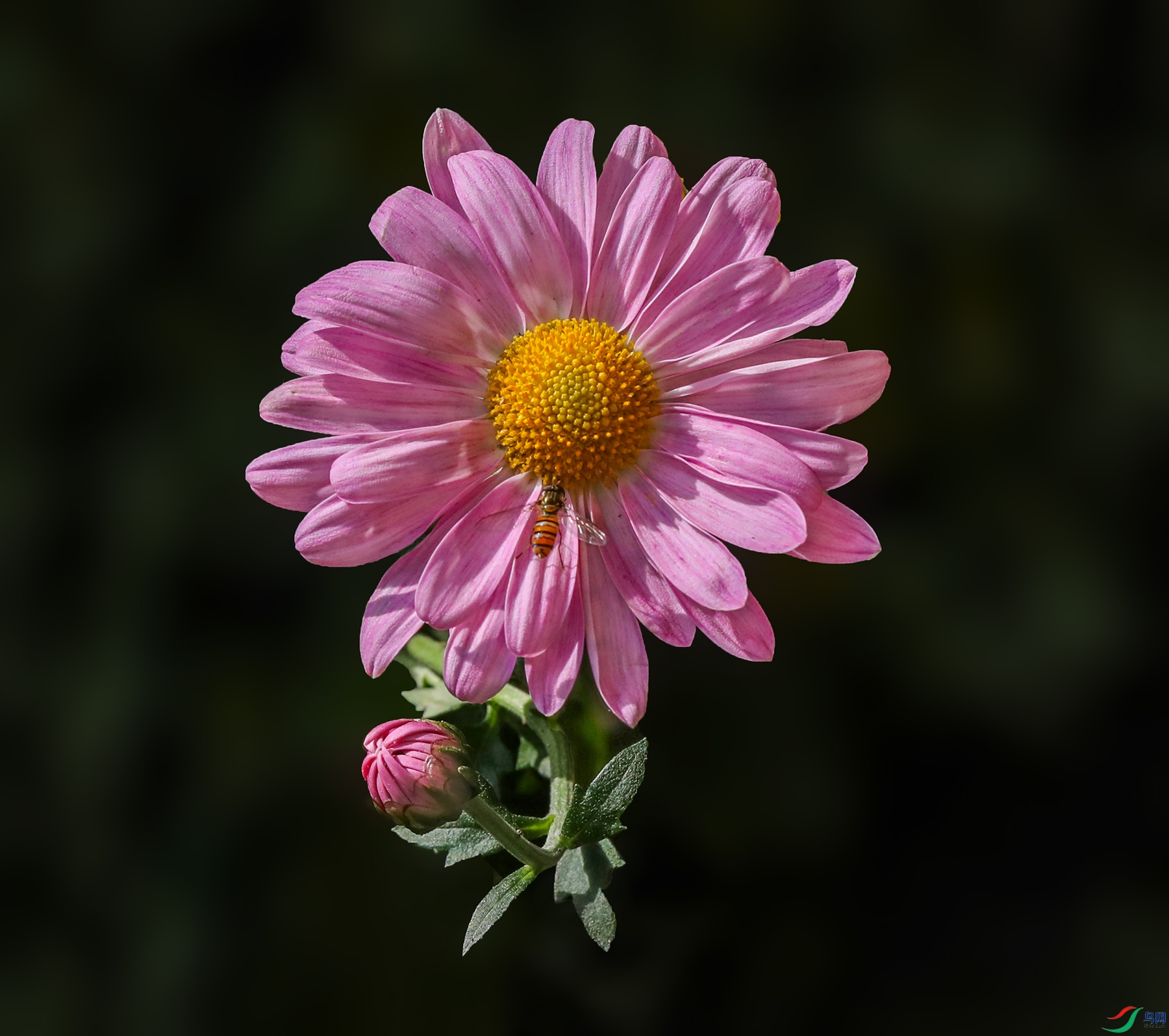 0000583A0744 ����� 1000k.jpg