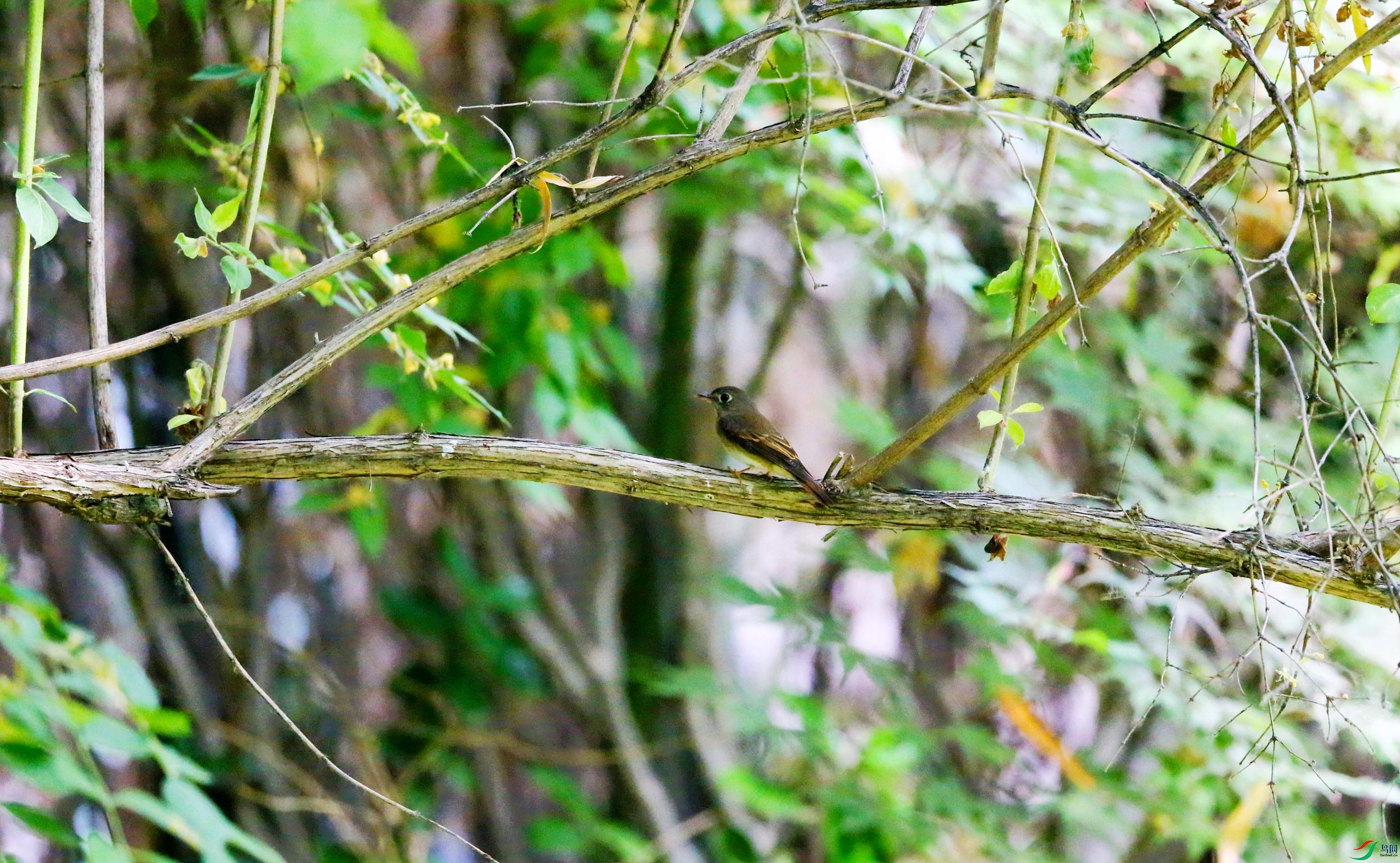 �����l (4).JPG