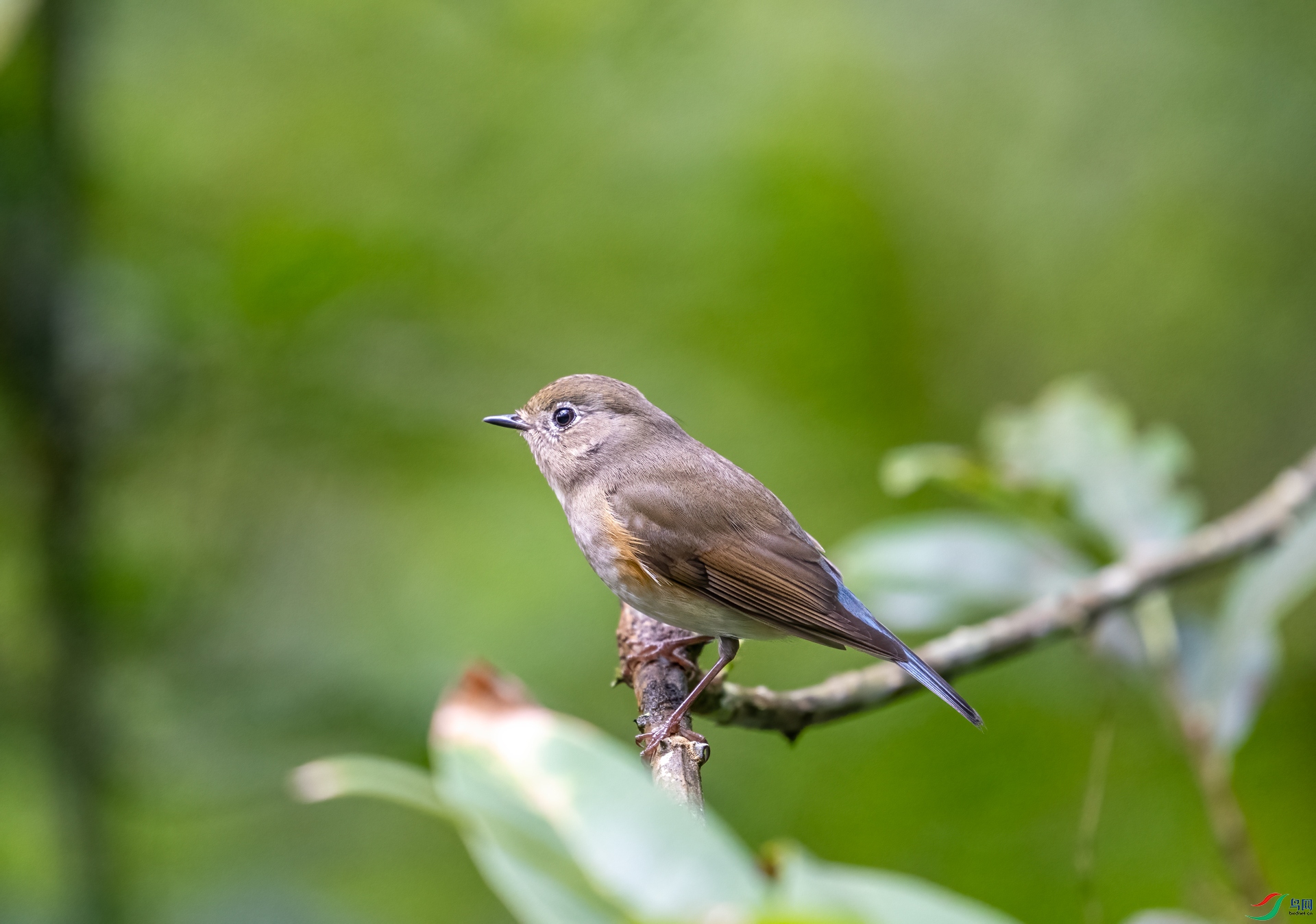 DSC_5884.jpg