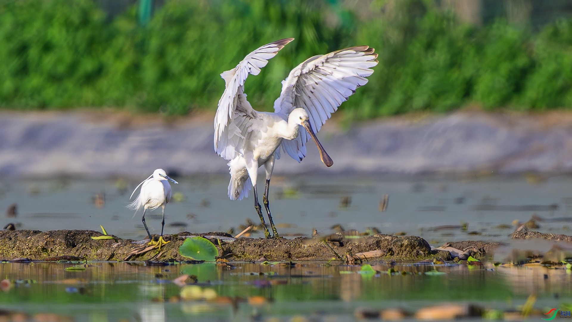 1_XXL0309-����ǿ-NR ����.jpeg