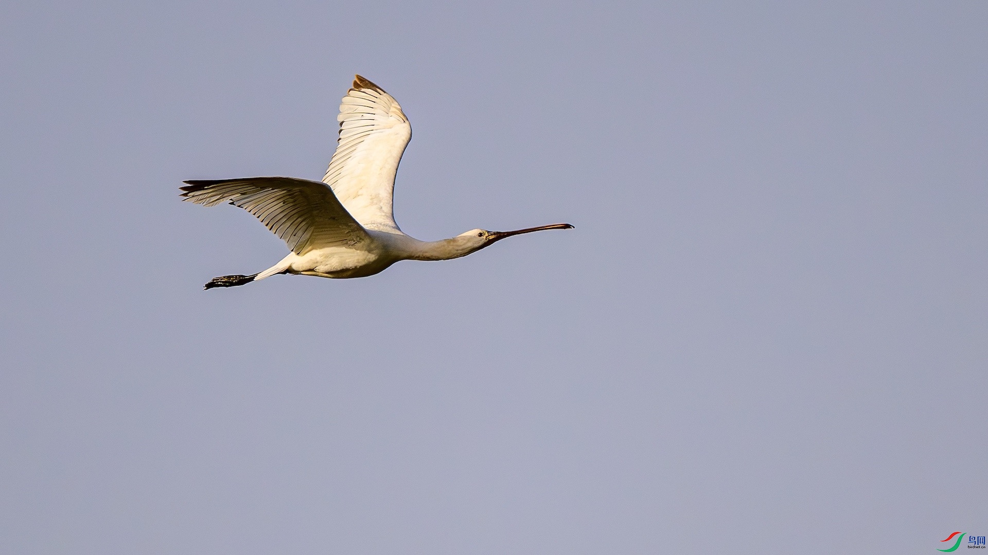 1_XXL0342-����ǿ-NR ����.jpeg