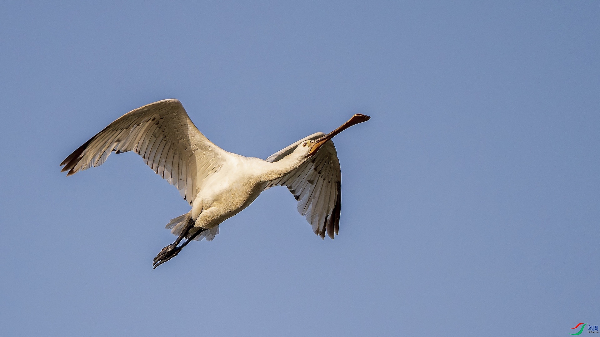 1_XXL0462-����ǿ-NR ����.jpeg