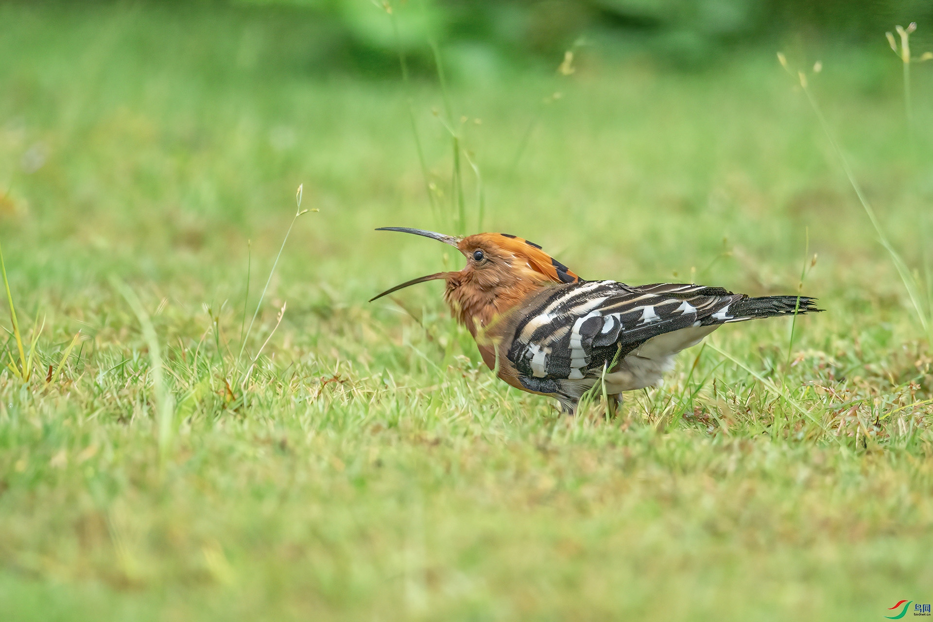 DSC_7720.jpg