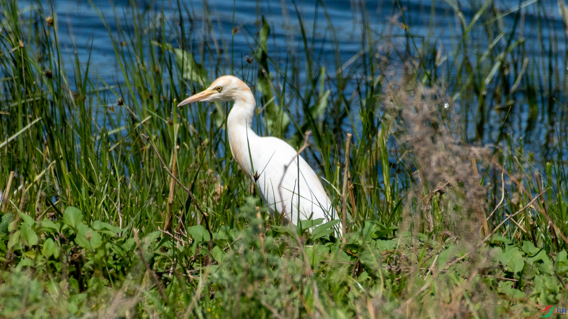 _DSC8667.jpg