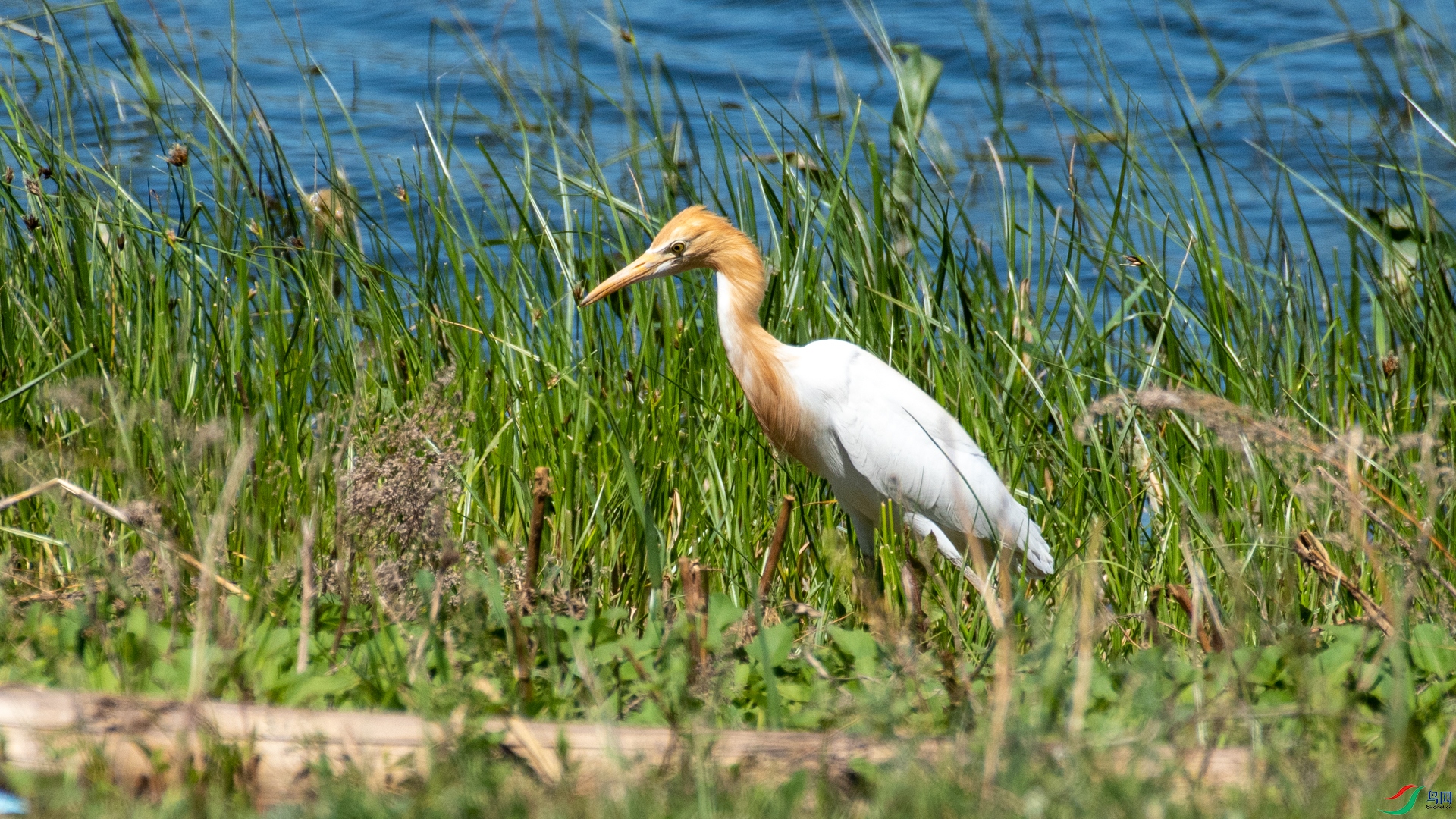 _DSC8687.jpg