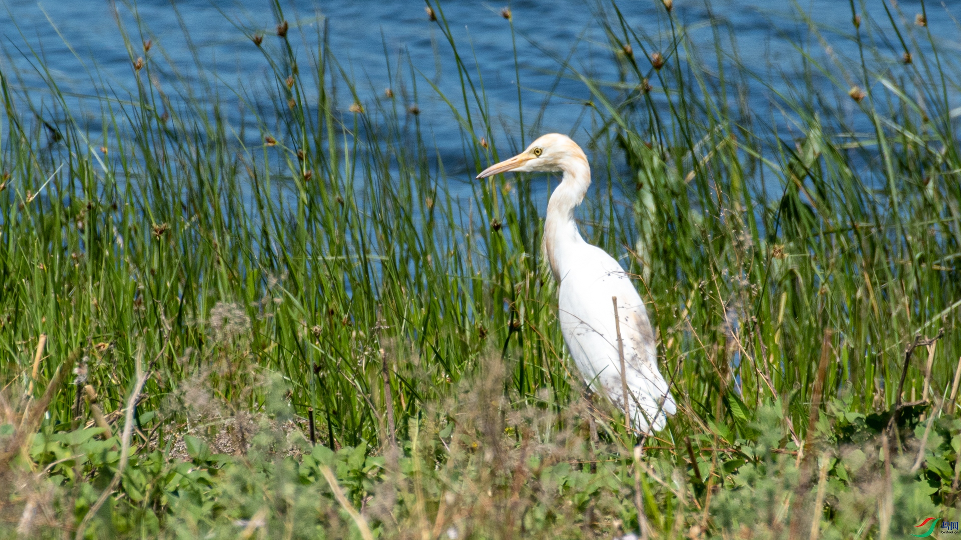 _DSC8704.jpg