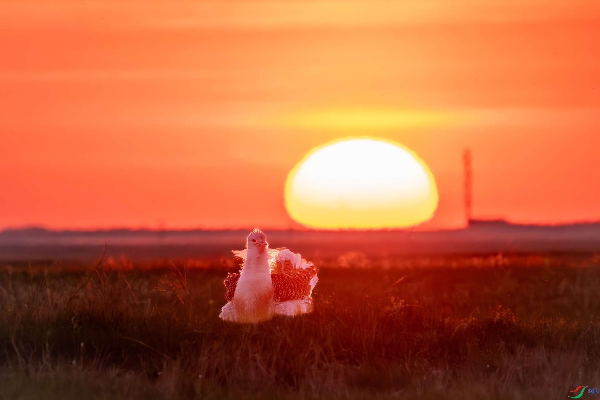 _DSC0081-����ǿ-NR ����.jpg