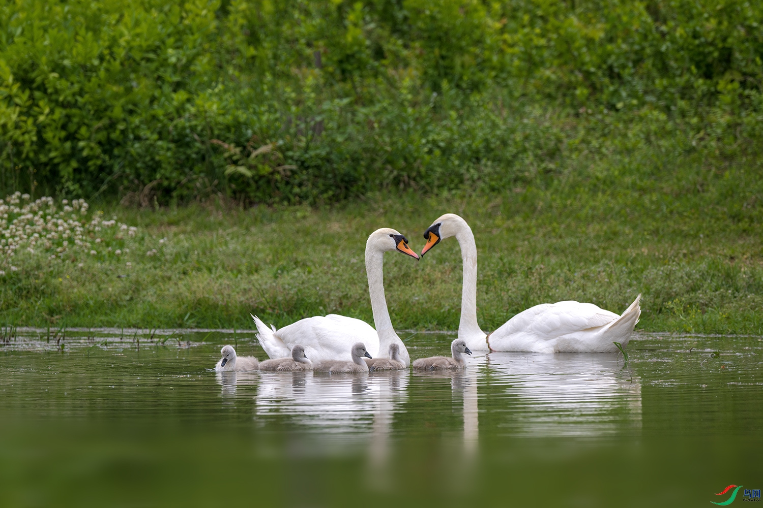 DSC_7818.jpg