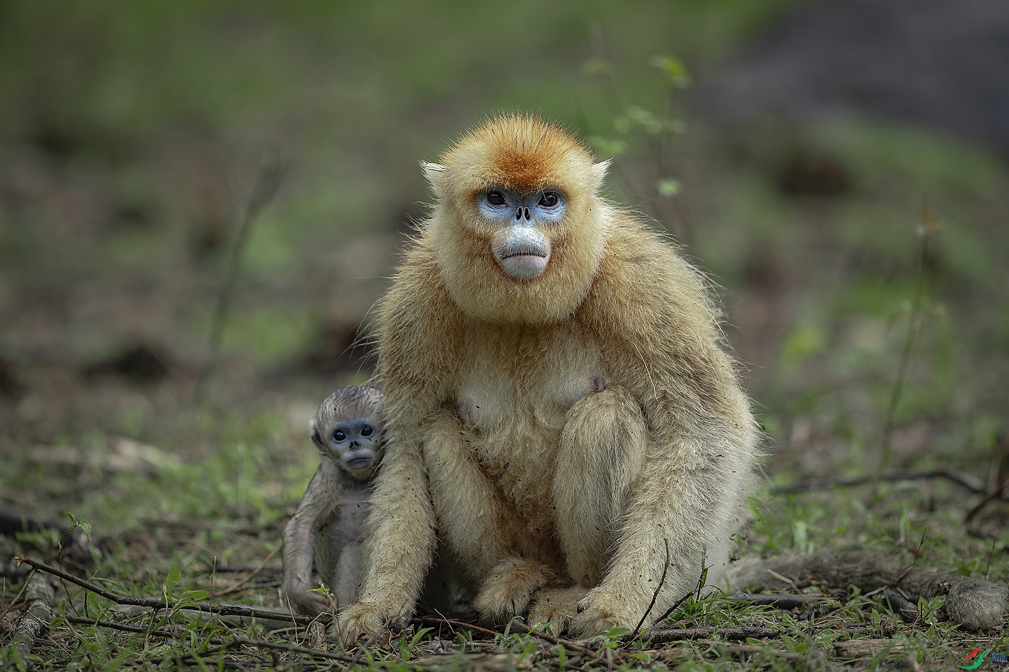 139A2410-����ǿ-NR ���� 2.jpg