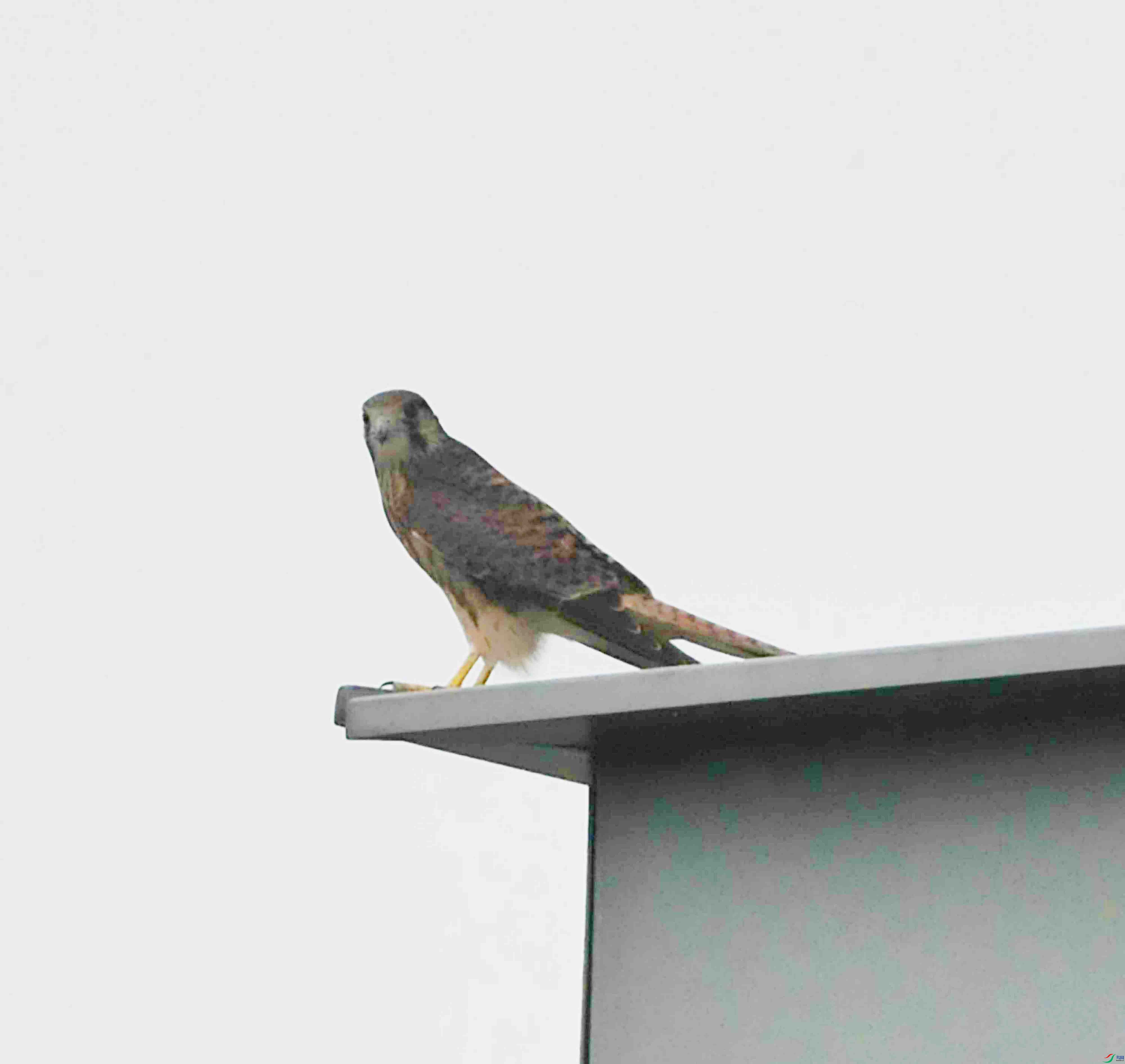 DSC_8759.JPG