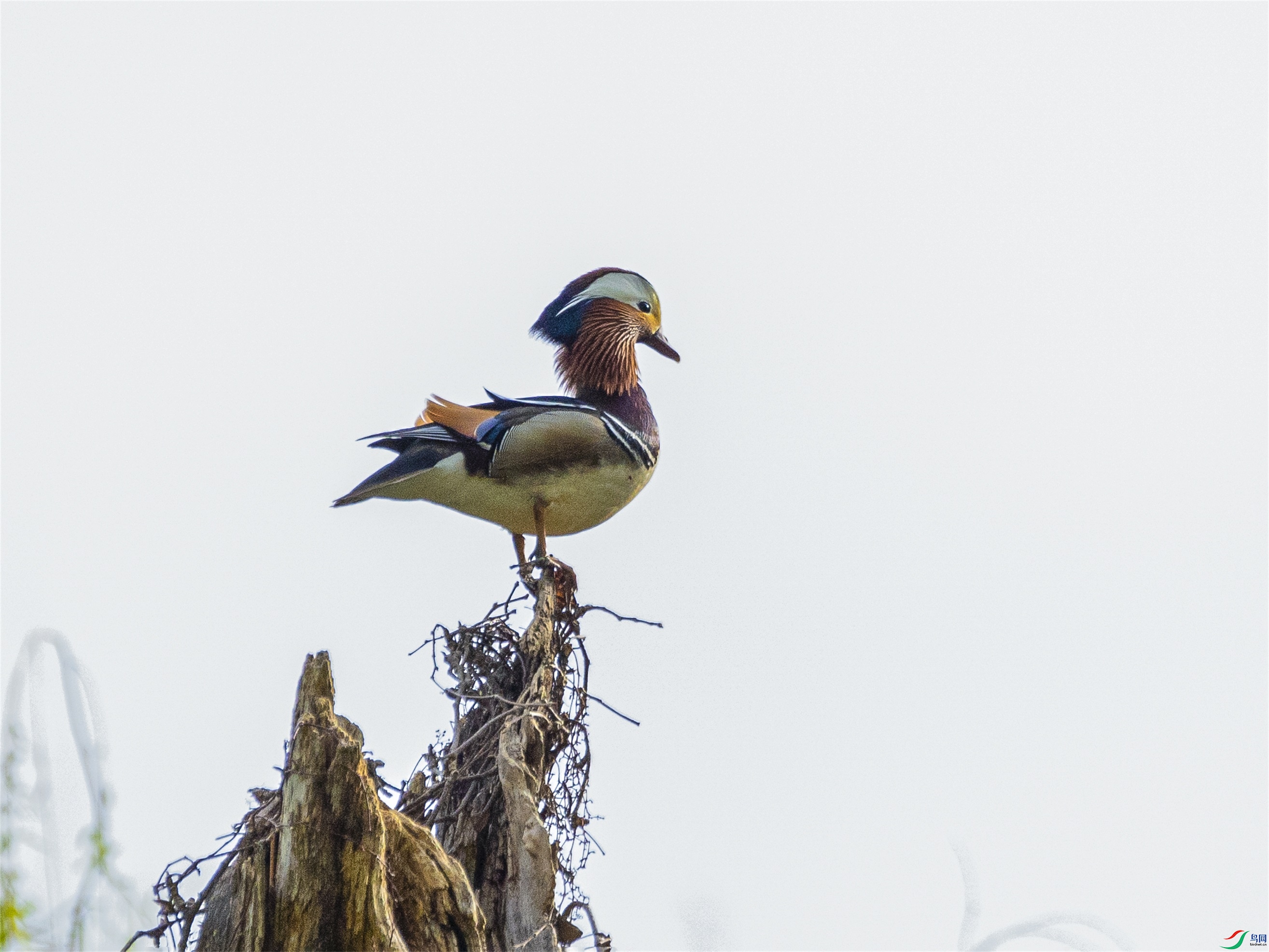 1K3A8755 - ���� ����1.jpg