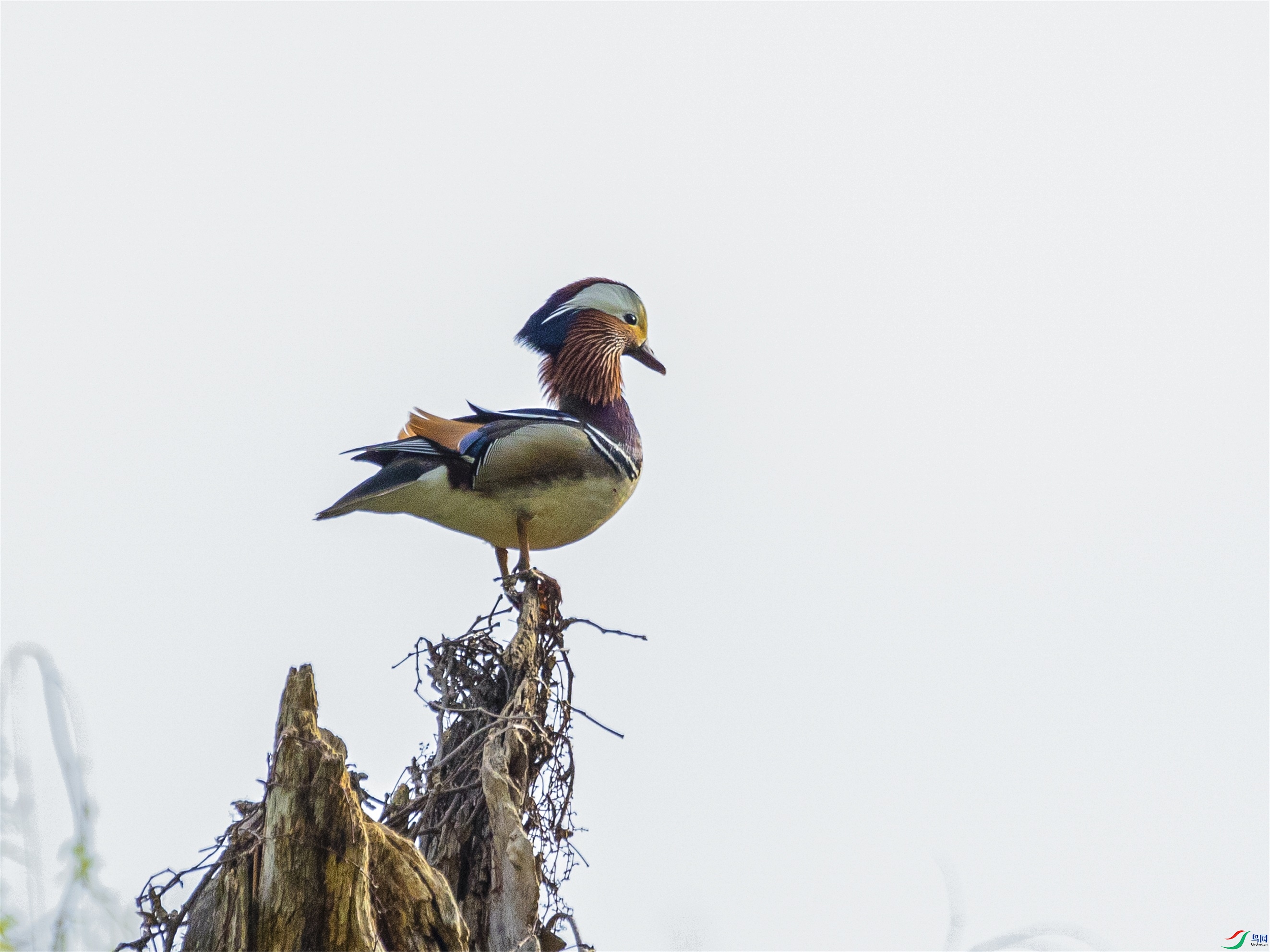 1K3A8758 - ���� ����1.jpg