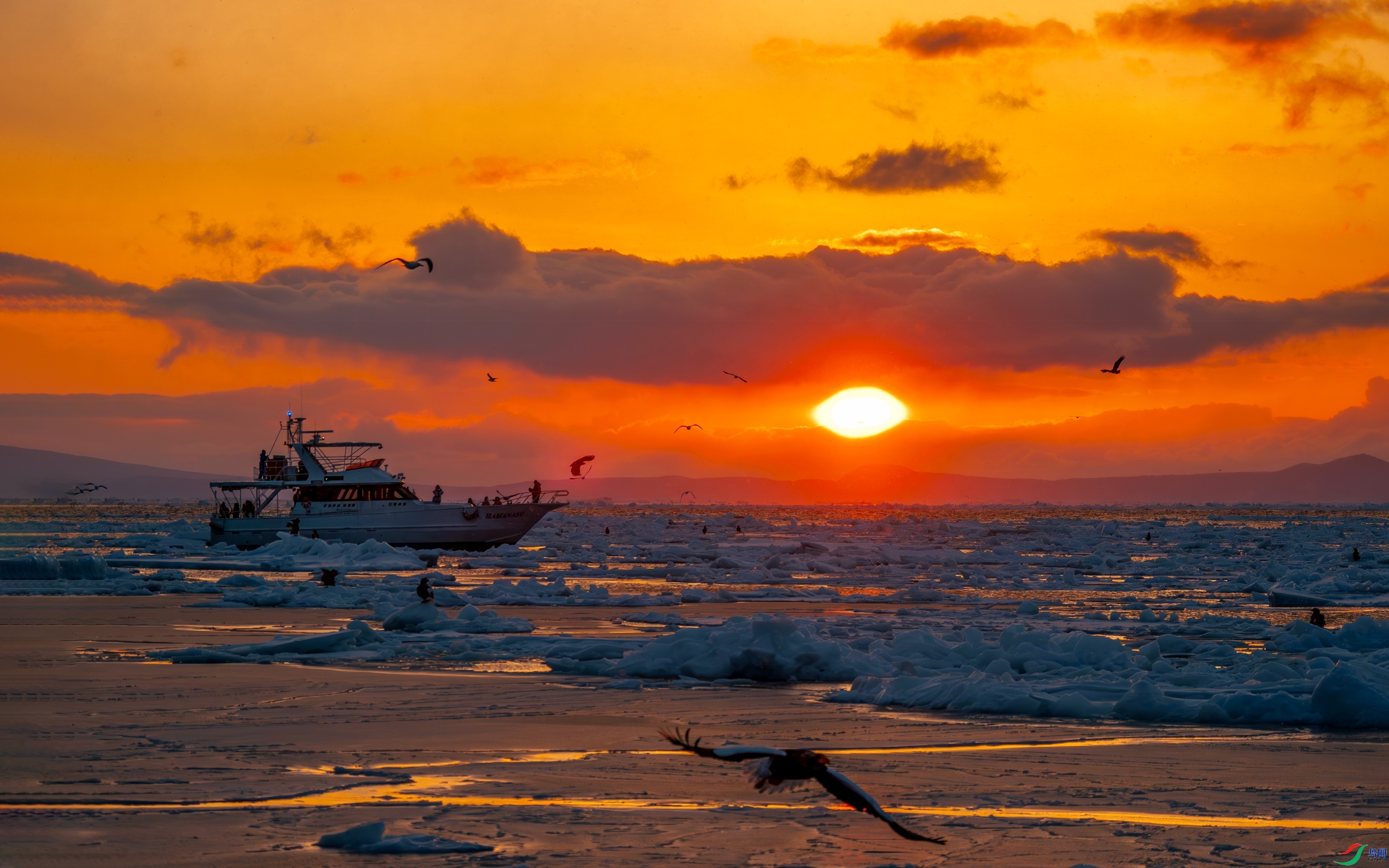 ÿ�ռ���  �����������κ����糿  ���� ����.jpg