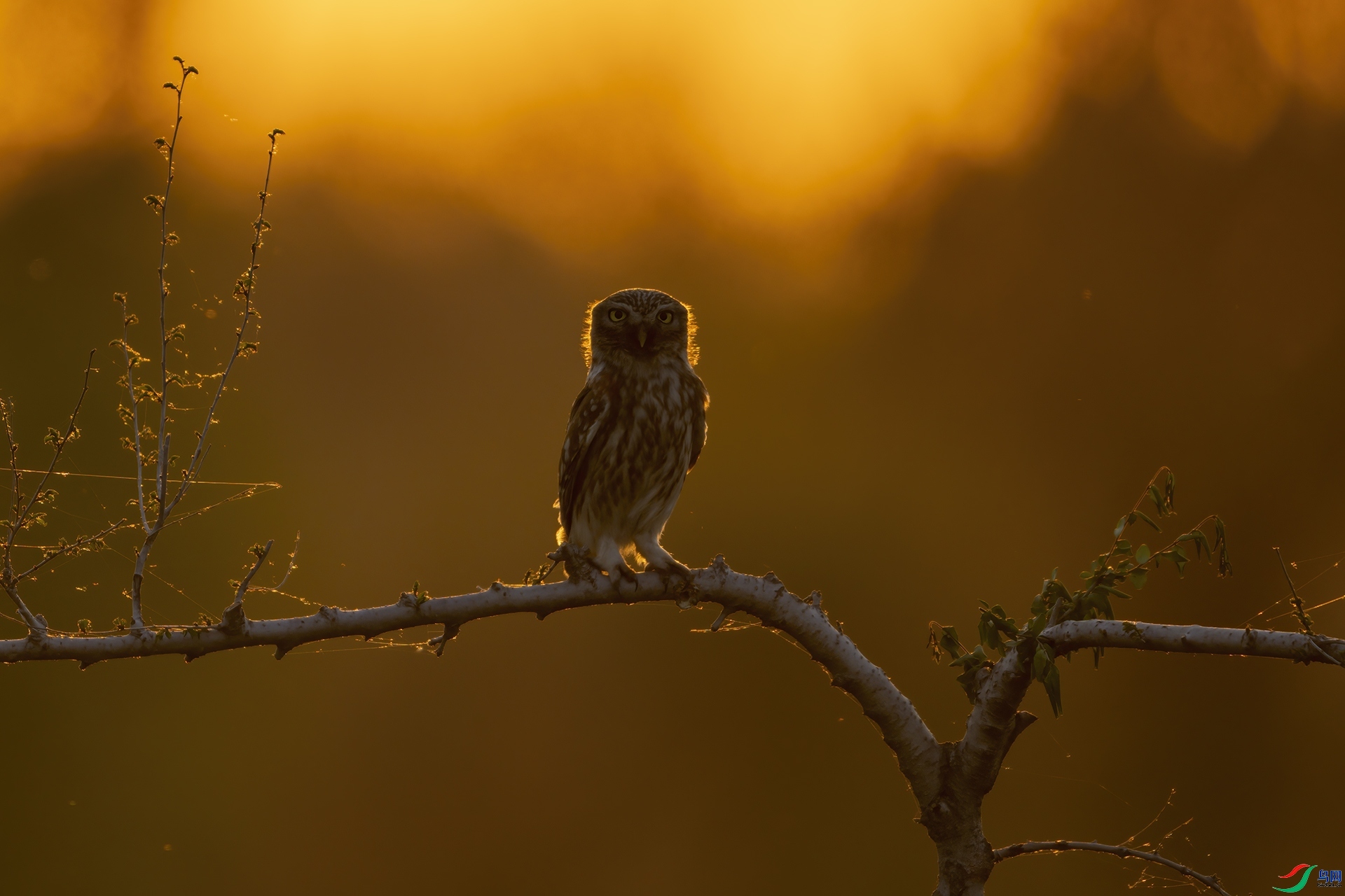 ÿ�ռ���  �Ҹ�ʱ�� ���� ���� ����.jpg