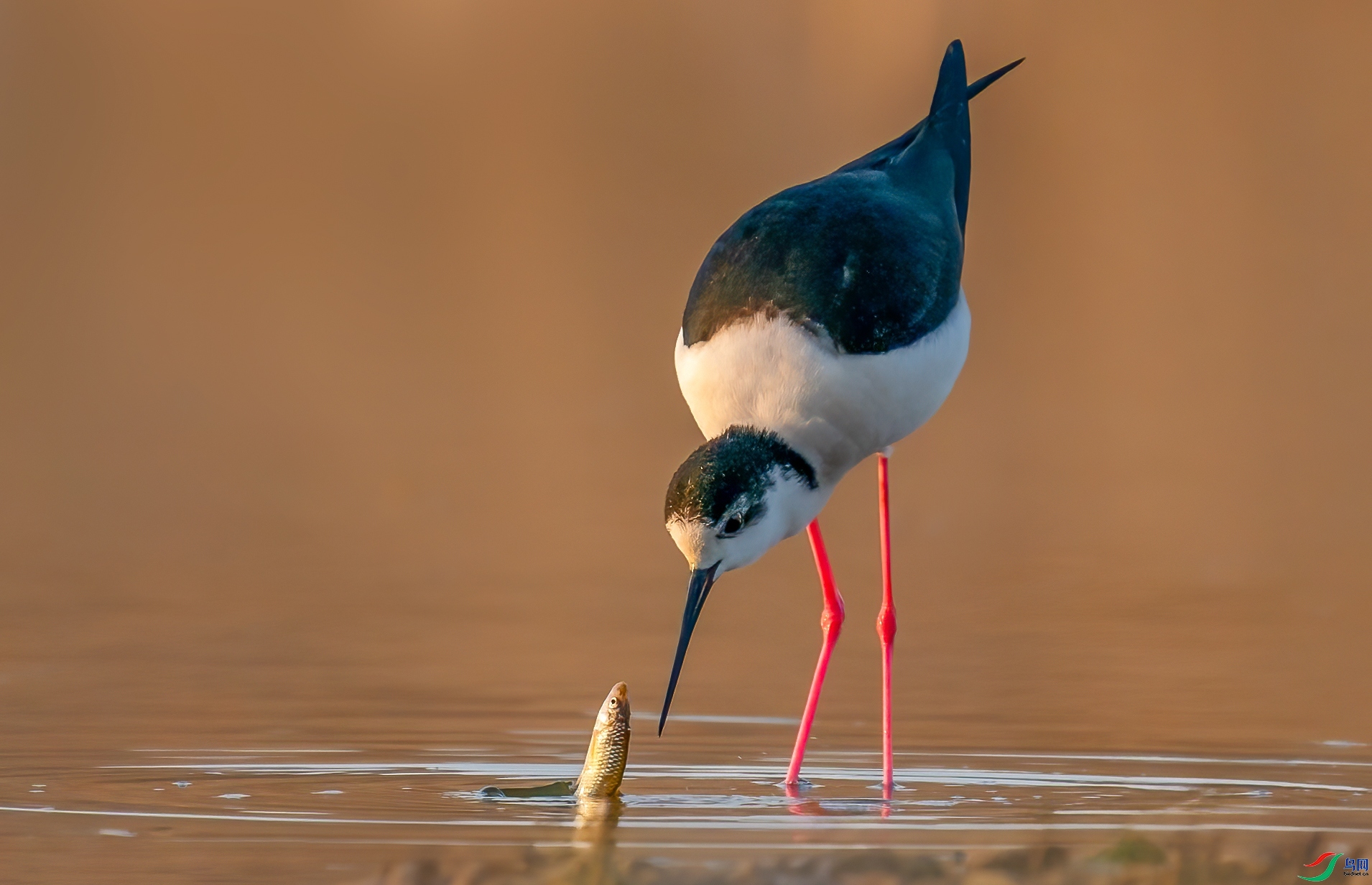 ÿ�ռ��� ˼�� ���� С�׺� ����.jpg