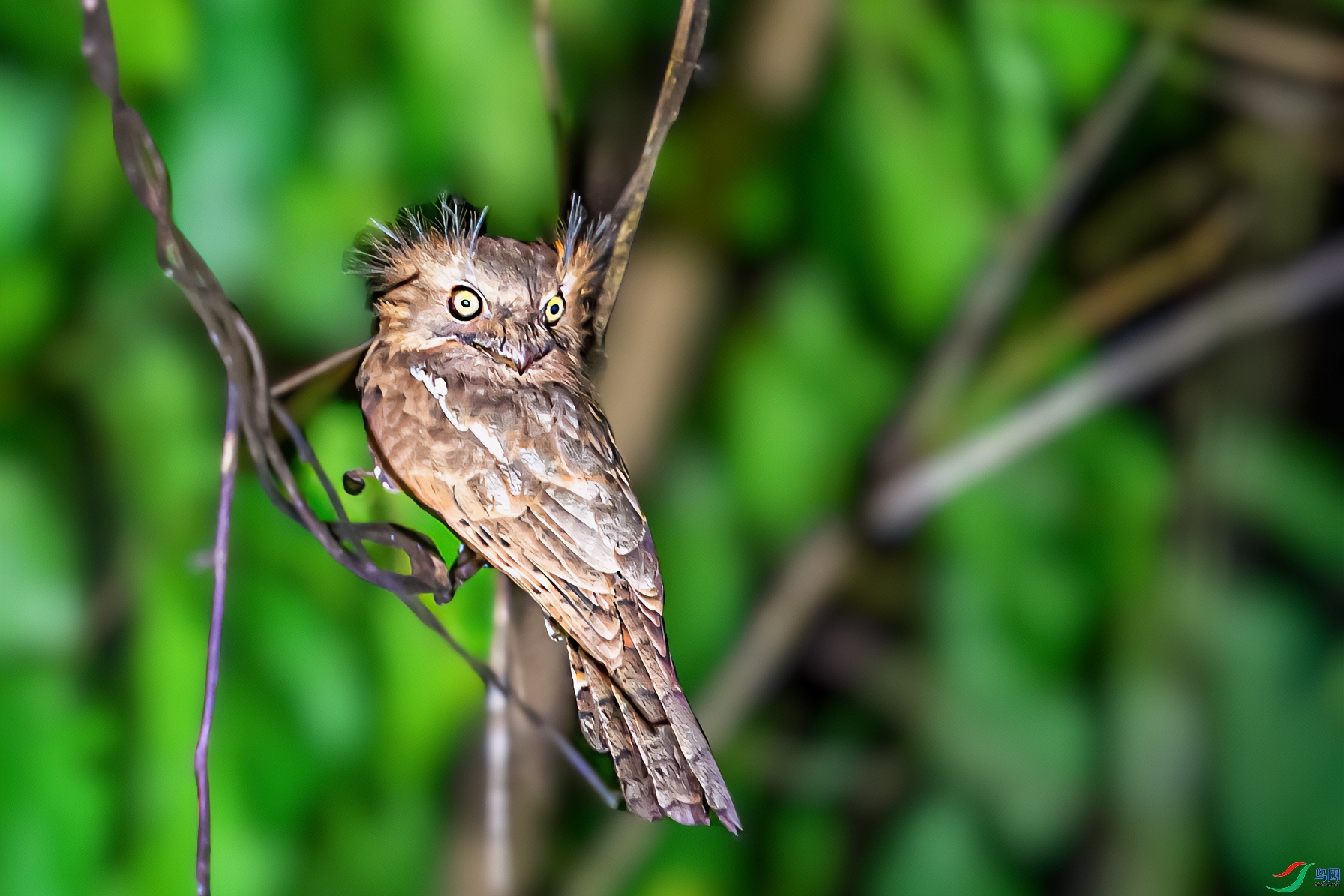 ���  ���� ���� ��һ.jpg