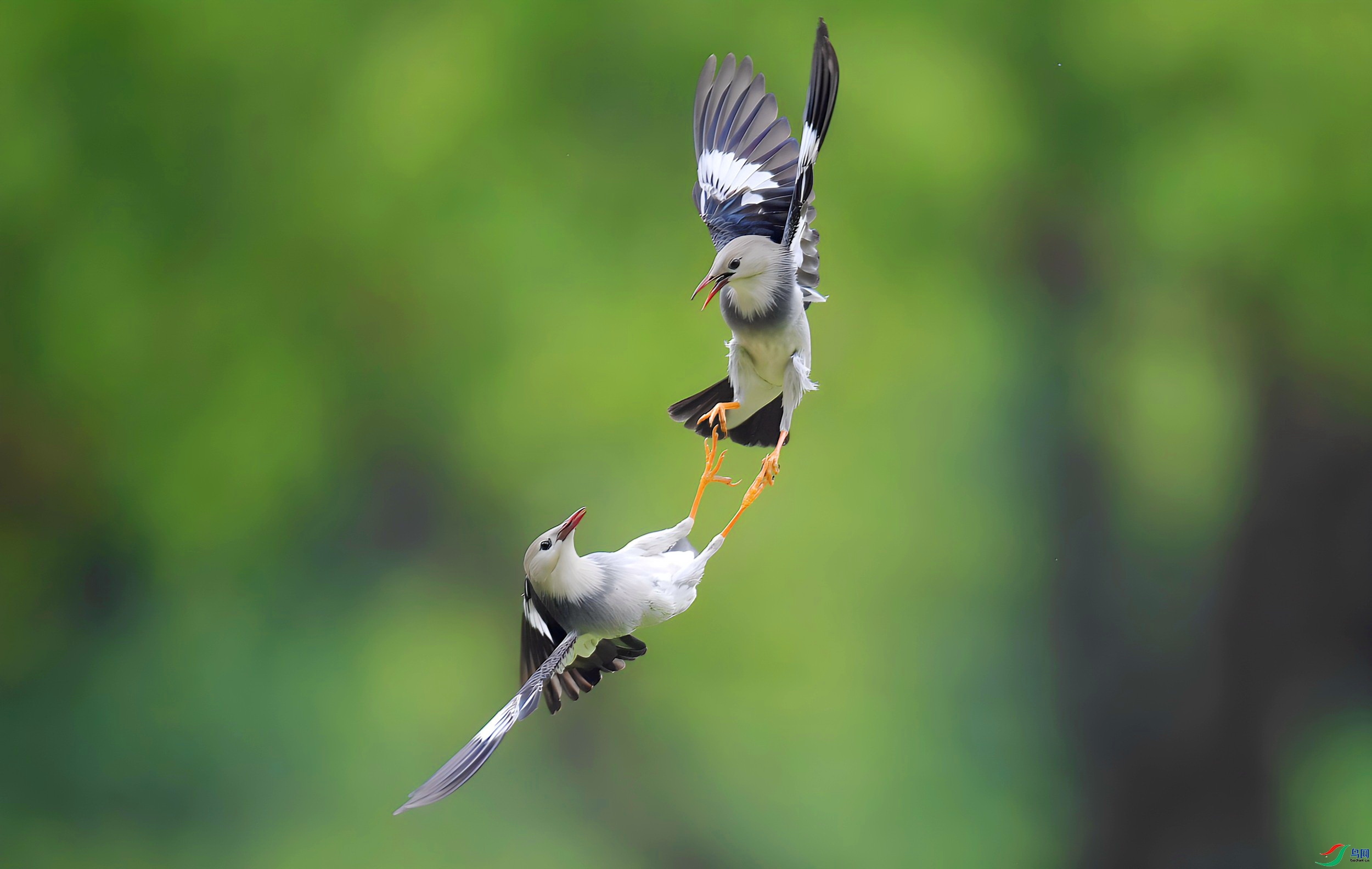 ���� ���� ����뻳 ��һ.jpg