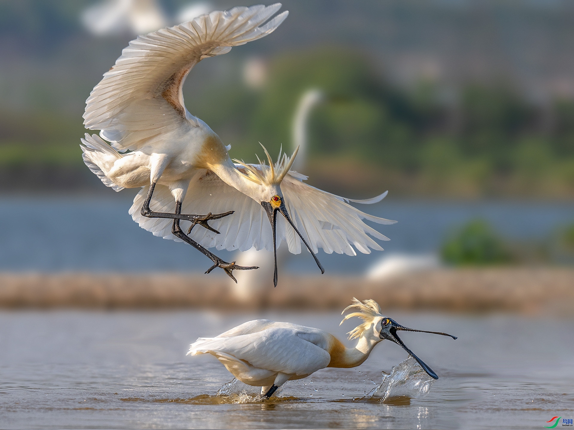 ׷�� ���� ��ѧ�� �ܶ�.jpg