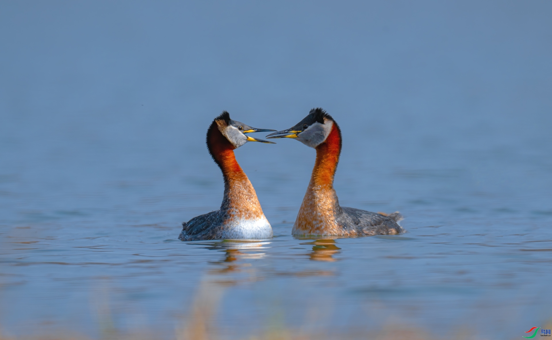 ��̸ ���� �������� ����.jpg