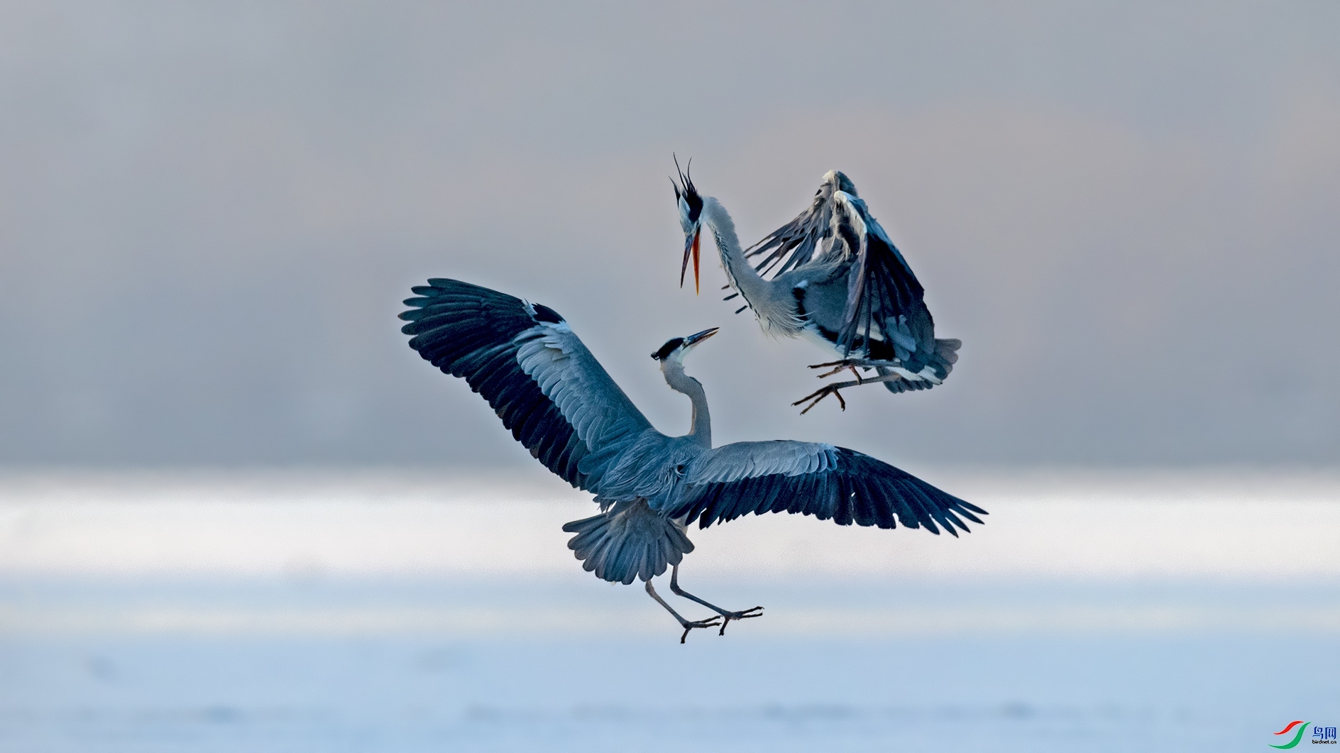 һ���ߵ�  ���� ������� ����.jpg