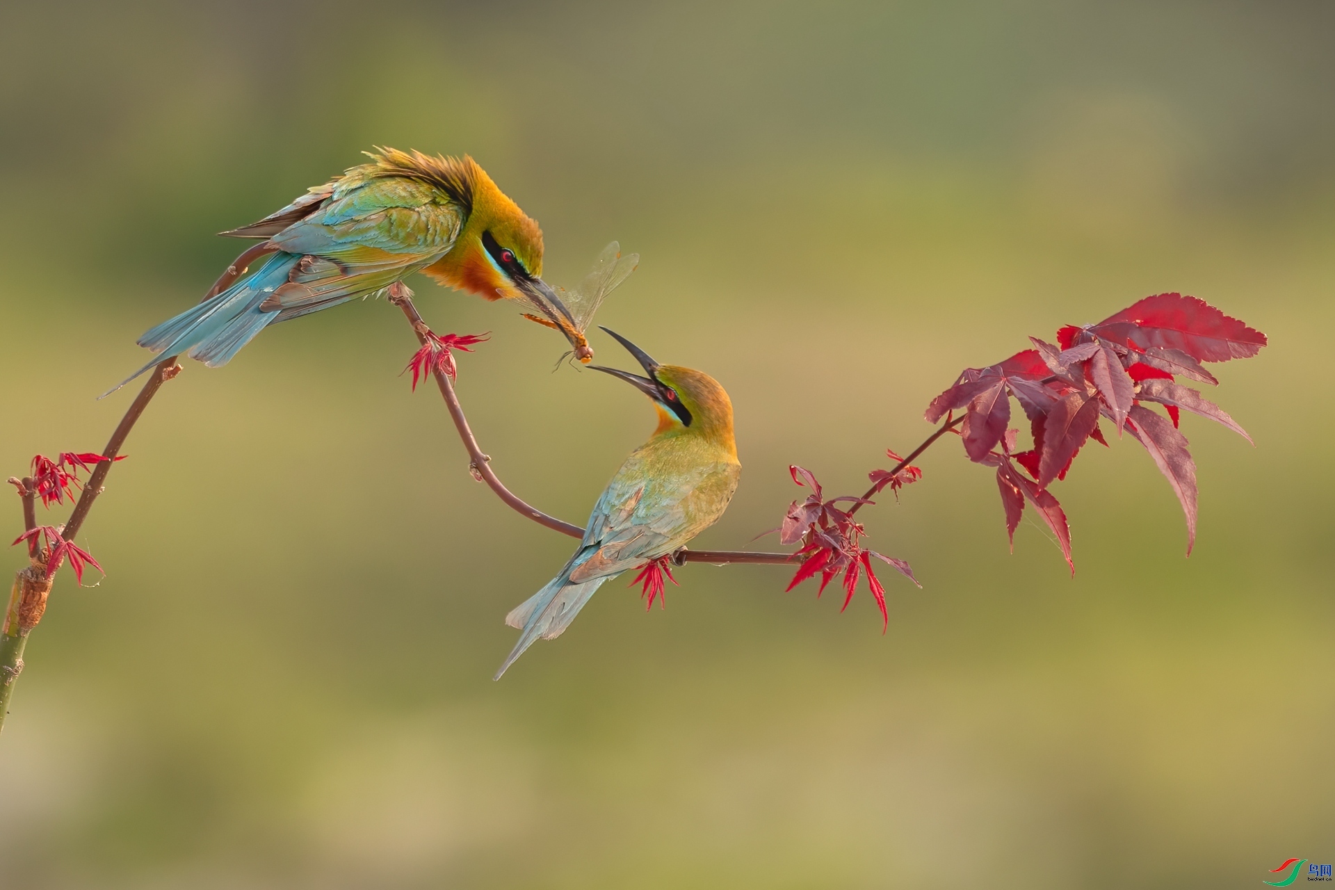 ����ǡ��һ��������ζ�ĵ���  ���� ����.jpg