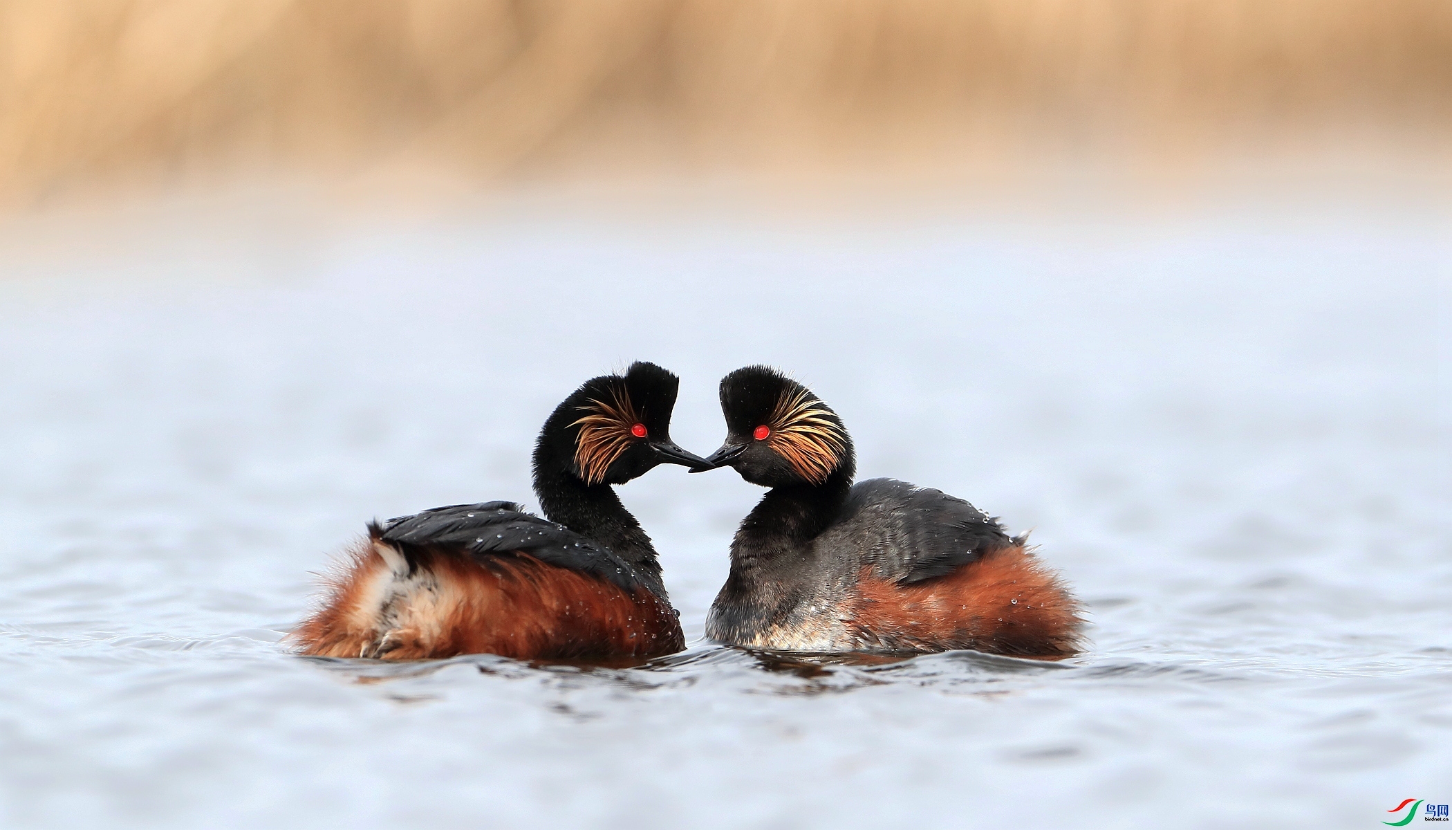 �������� ���� ��ǲ ����.jpg