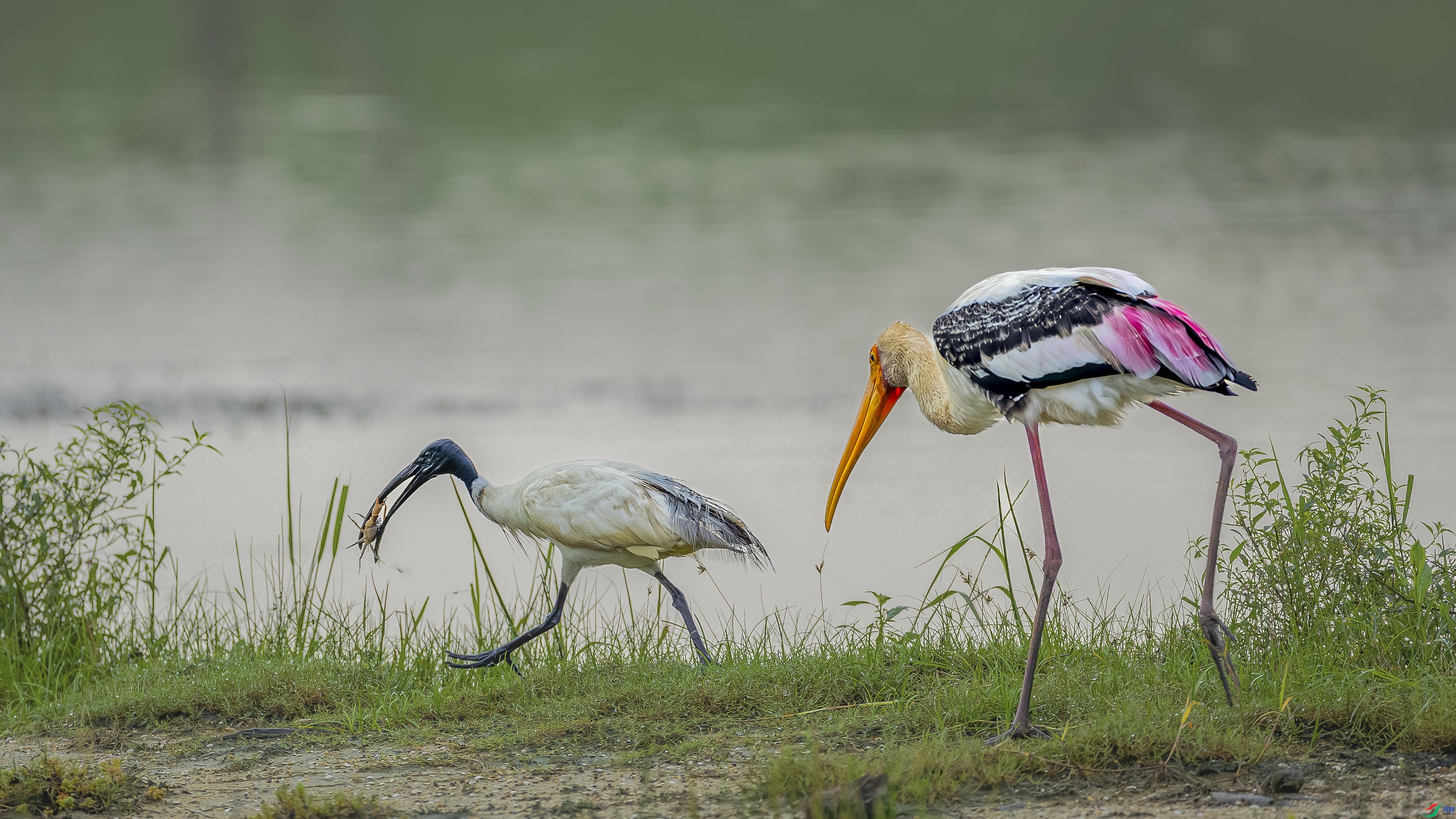 �������ͷ���q  ���� ����.jpg