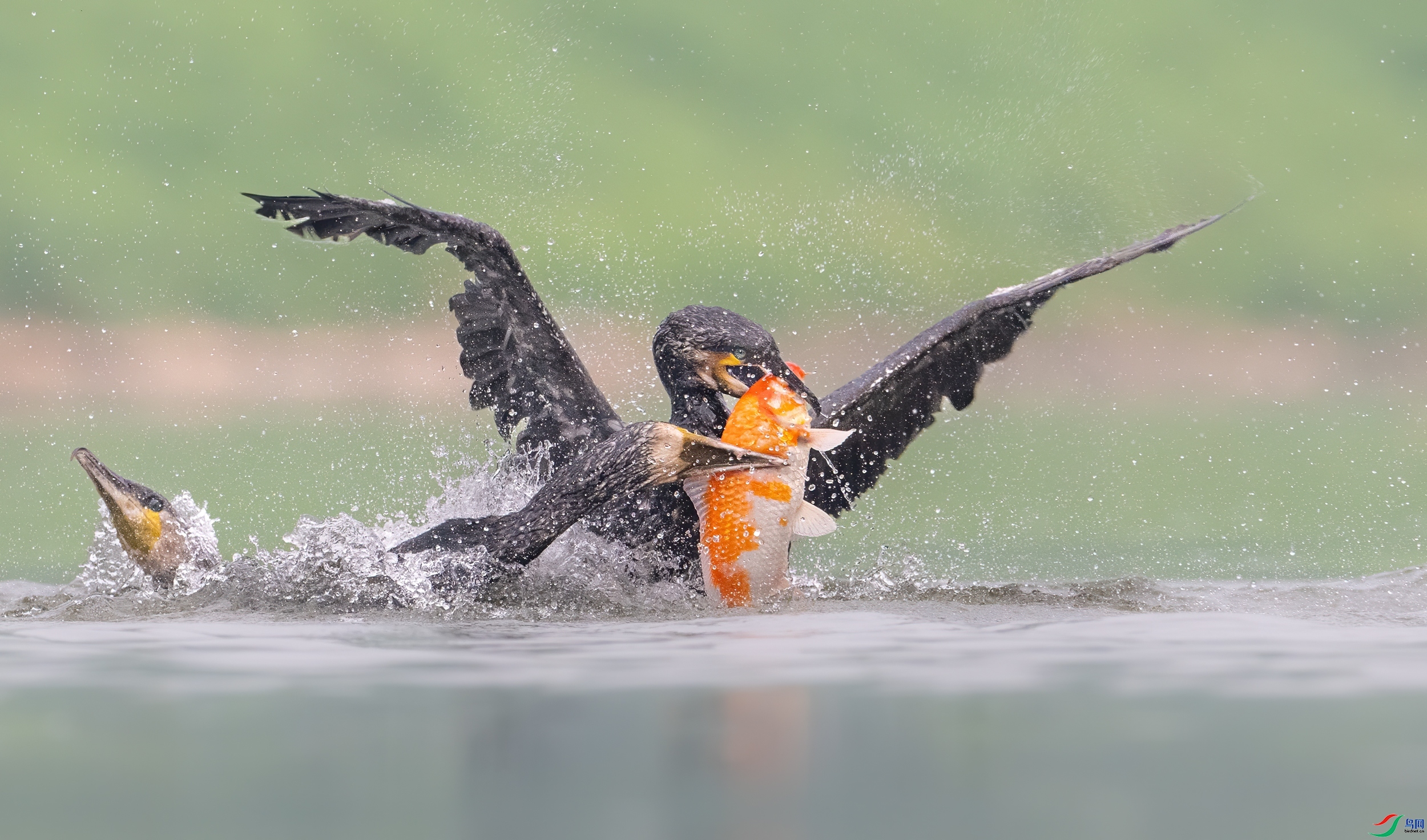 �� ���� ��Ͽ֮�� ����.jpg