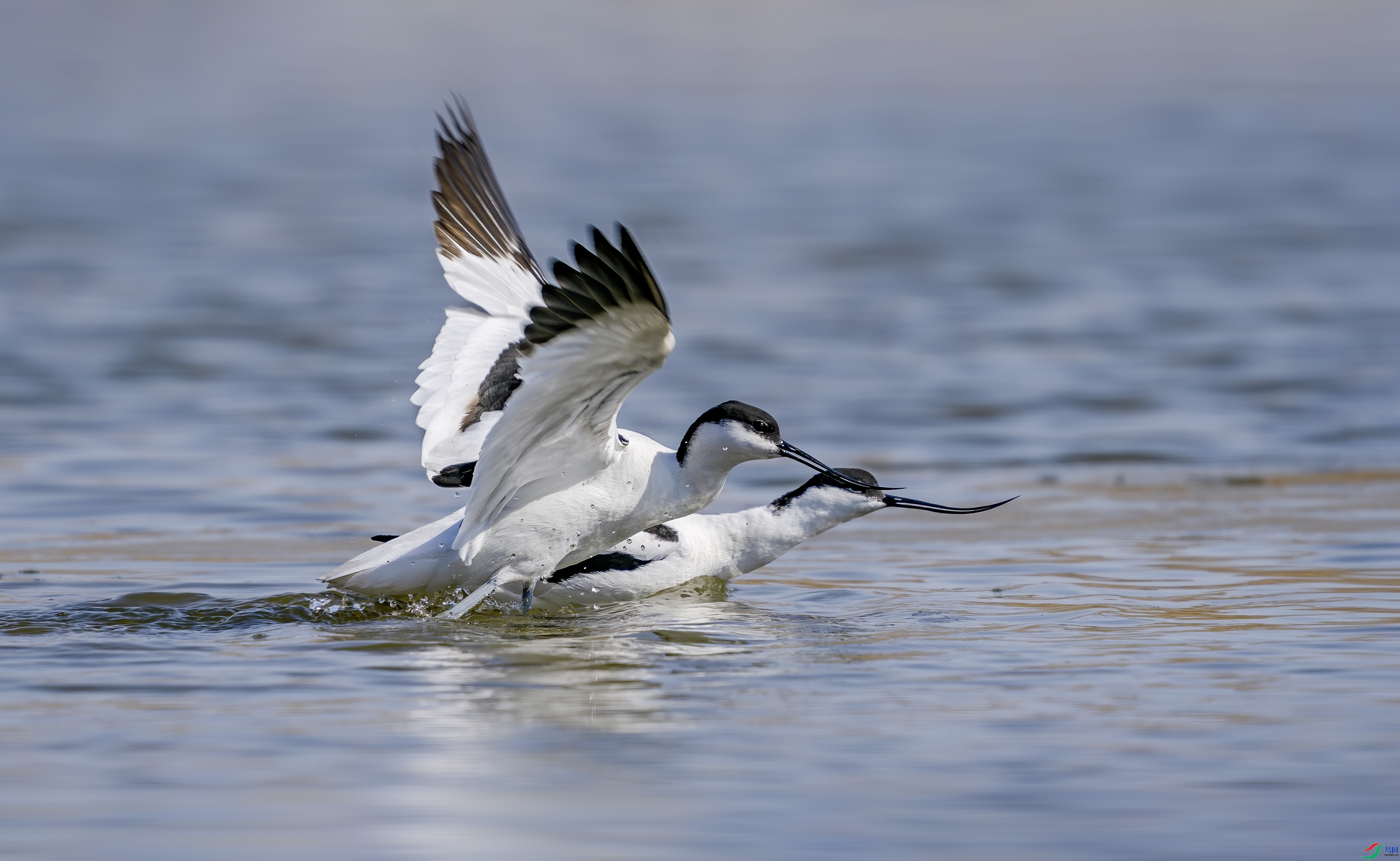 ��λ ���� С�׺� ����.jpg