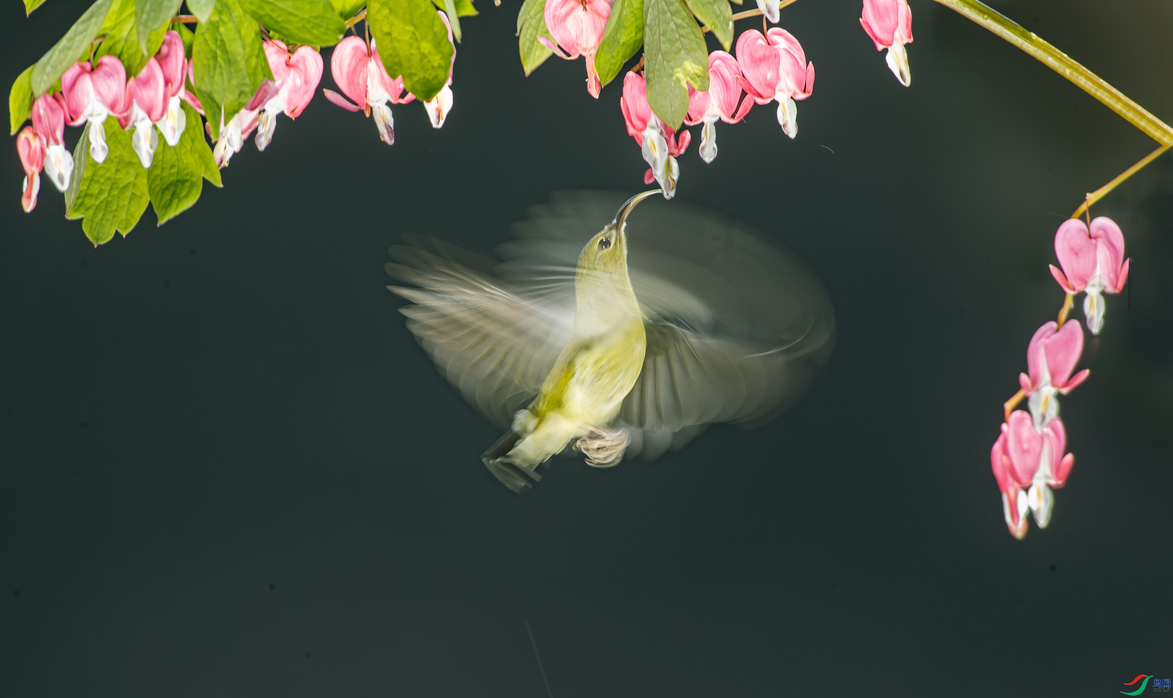 ����ĵ����  ���� ���� ����.jpg