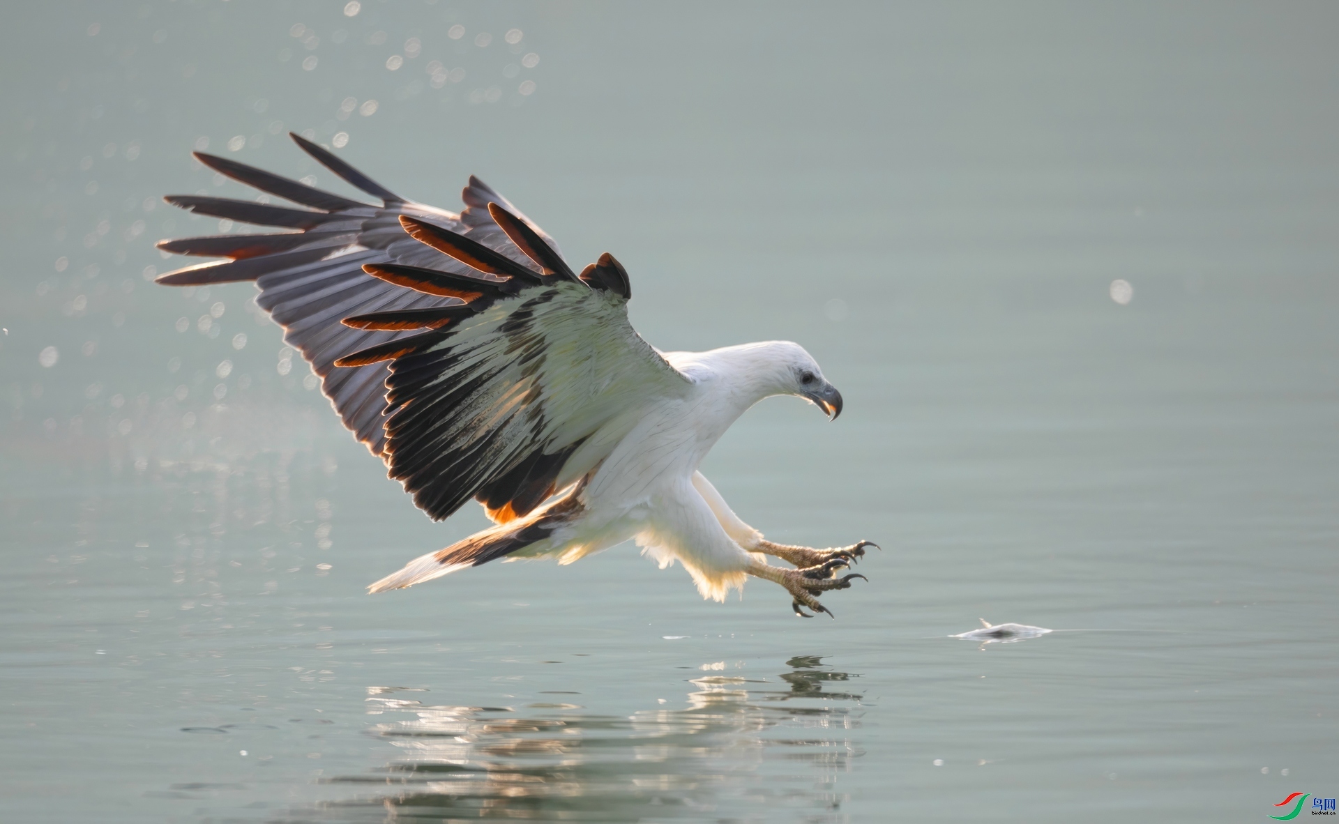 Ŀ������ ���� �ܷ� ����.jpg