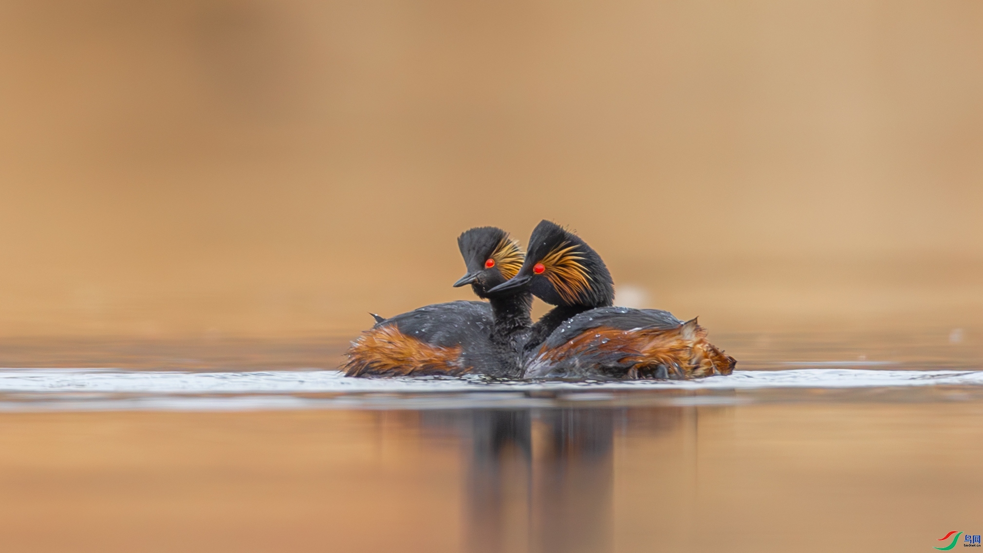 ���� ���� �䱾���� ����.jpg