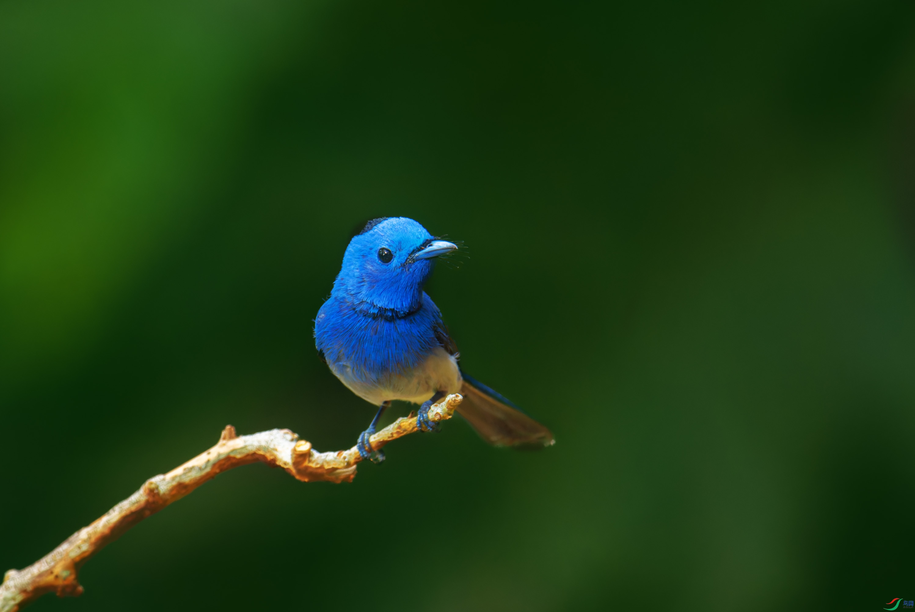 DSC_3010-1.jpg