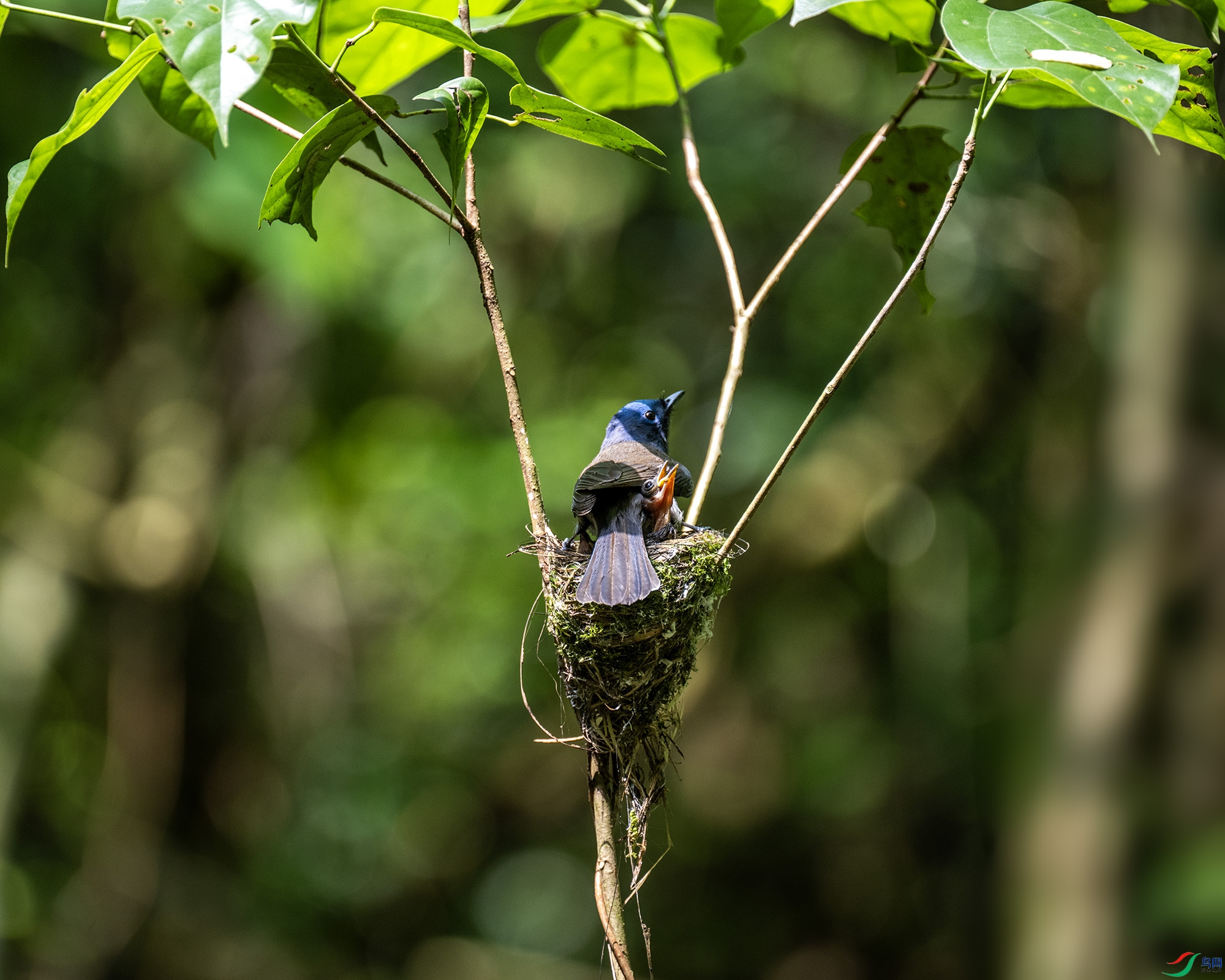 DSC_1094.jpg