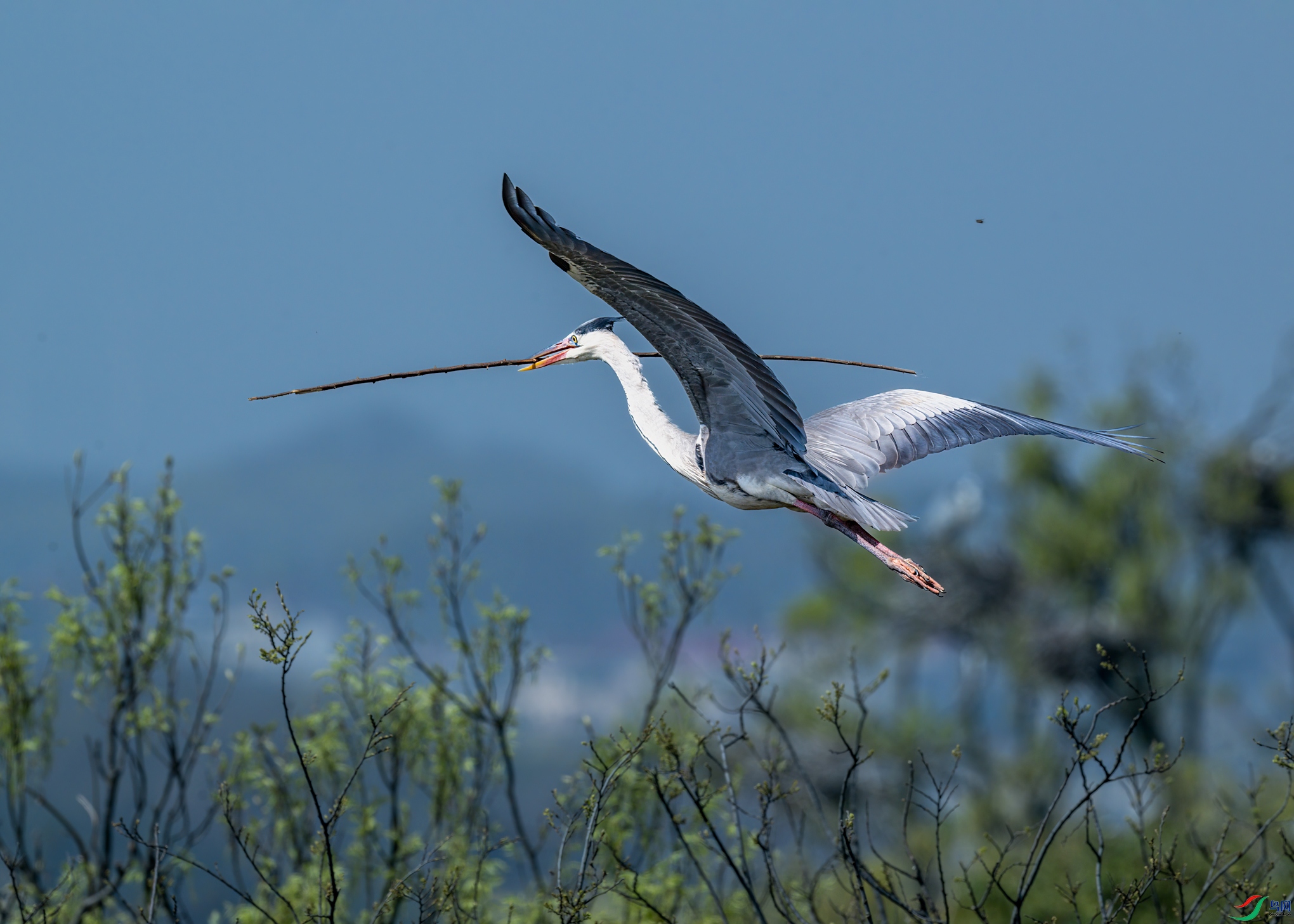 DSC_0398.jpg