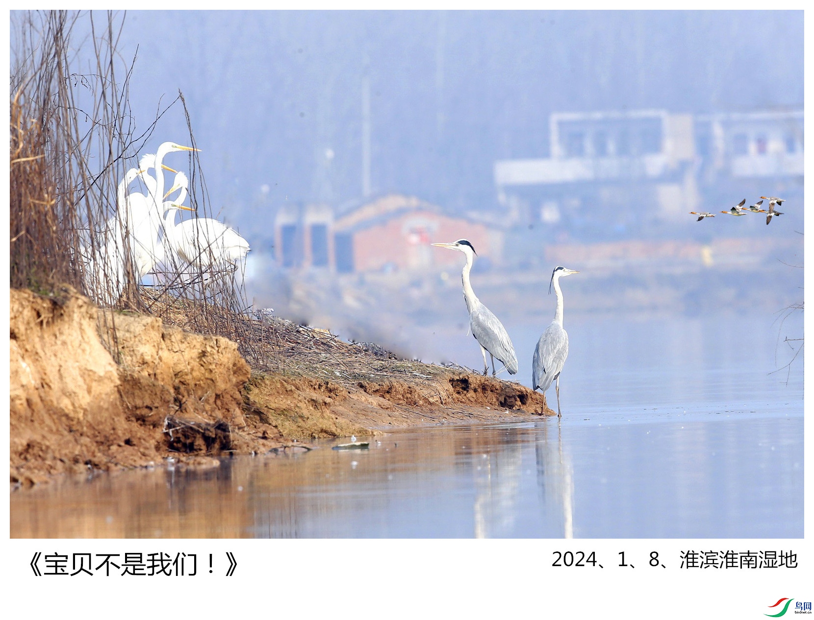 6578f6ab5c1445dcee00f0f422413012_111510o6pqabmrqfs6080q - ����.jpg